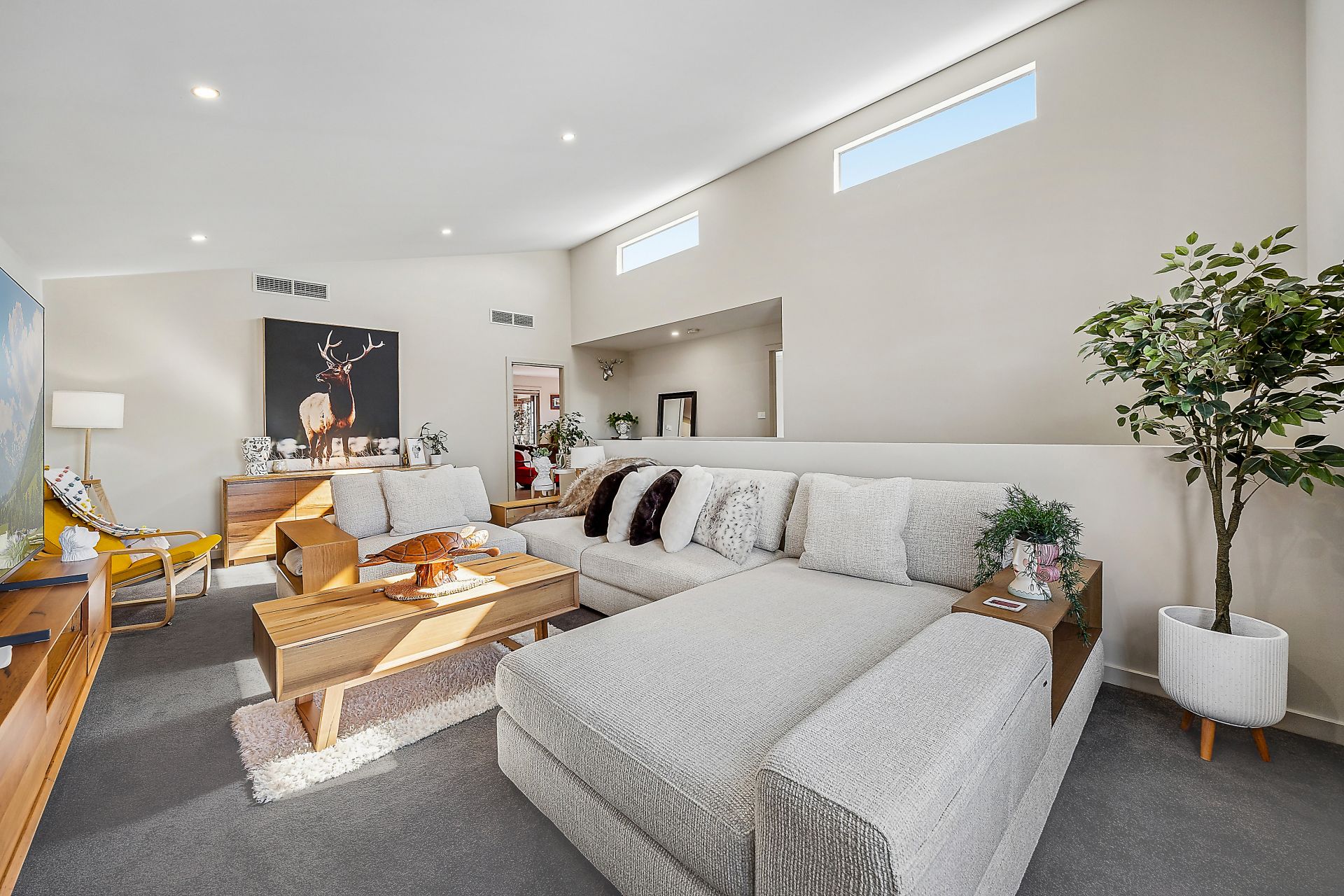 13 Beanland Street, Casey, Casey - Thumbnail 8