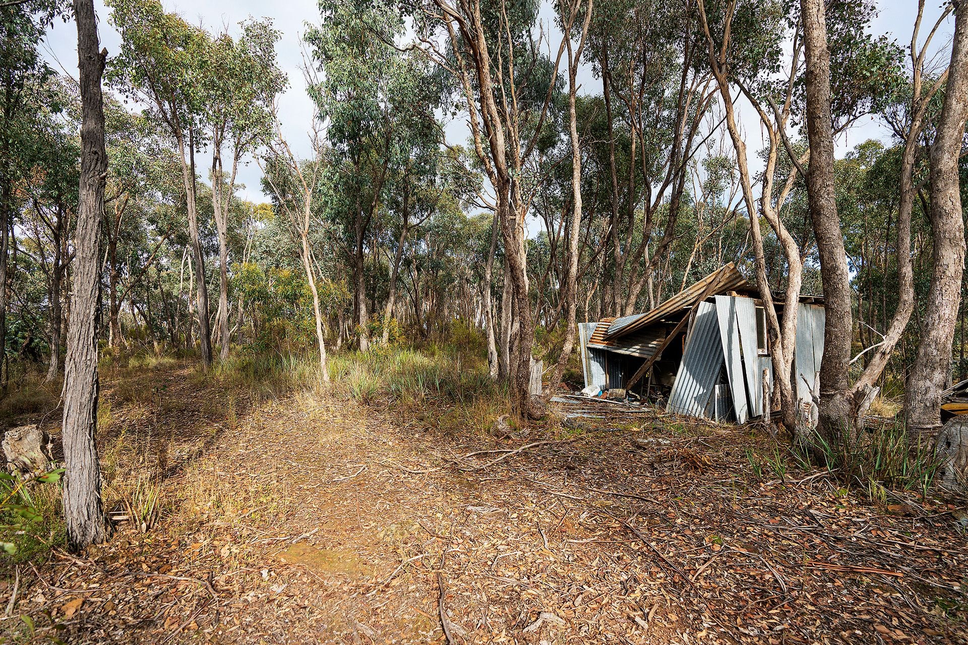 70 Galaxia Lane, Guildford - Thumbnail 6