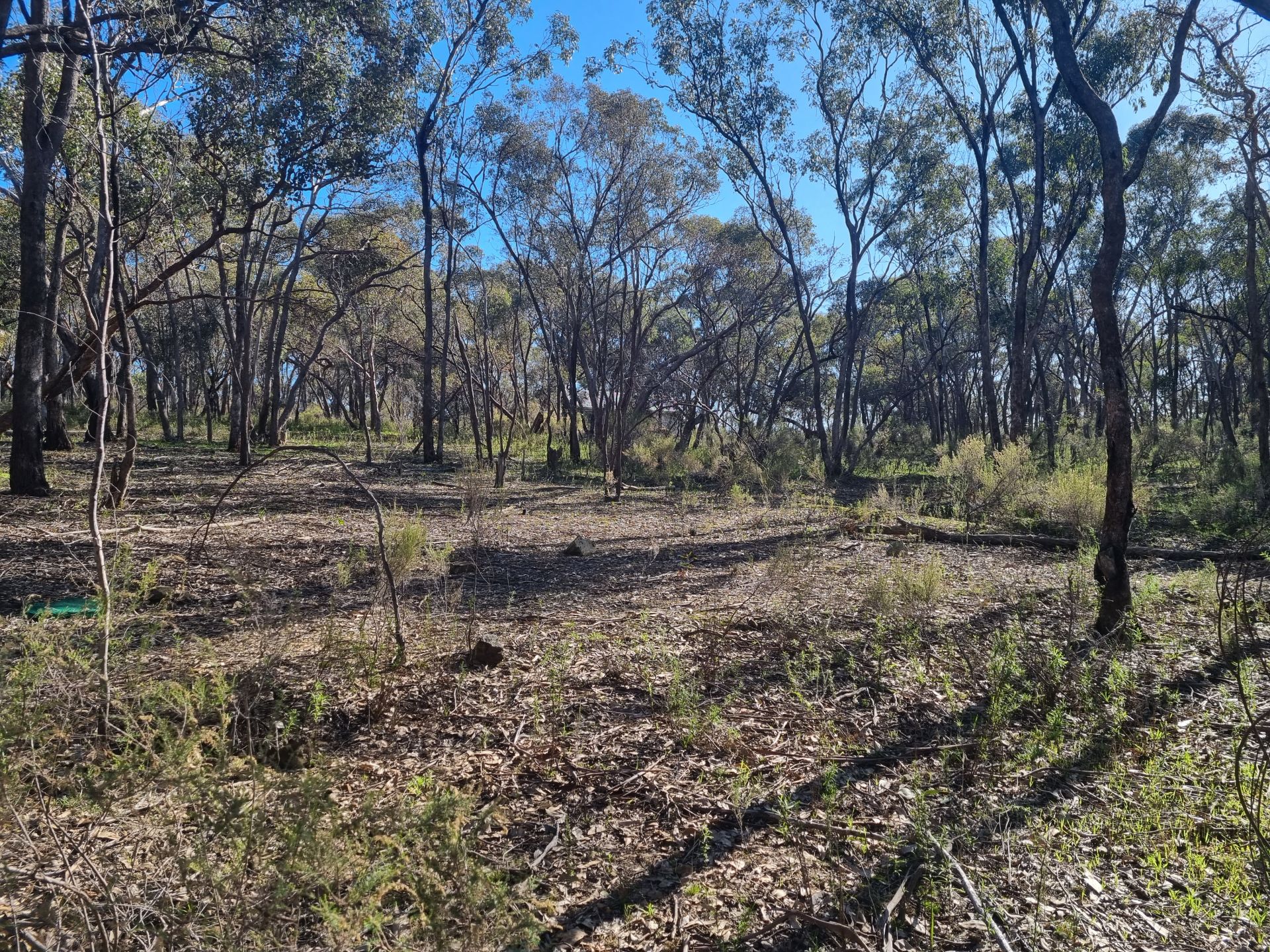 Lot 18 Native Gully Crescent Eppalock VIC, Eppalock - Thumbnail 3