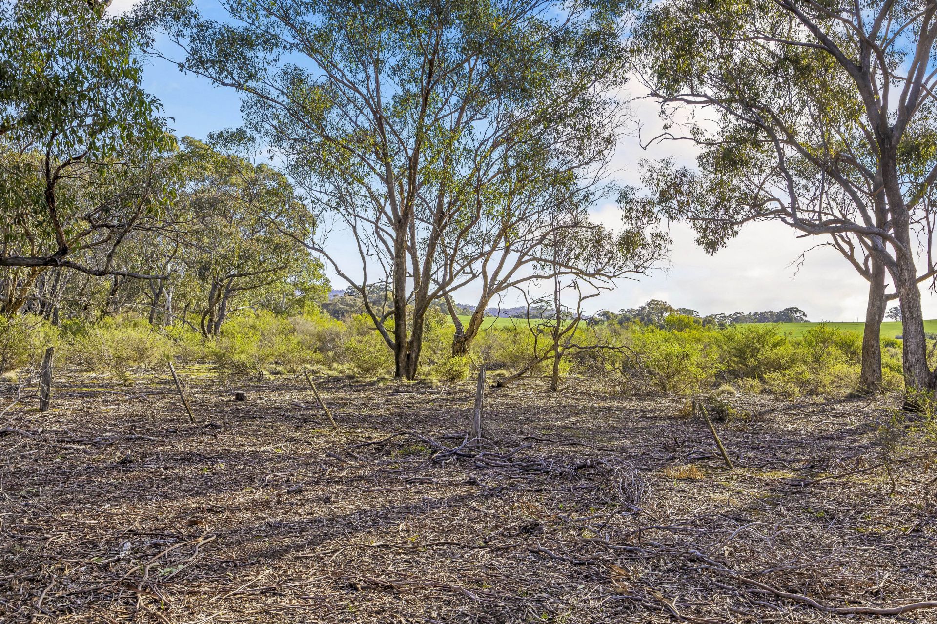 170 McKinleys Road, Clunes, Clunes - Image 1