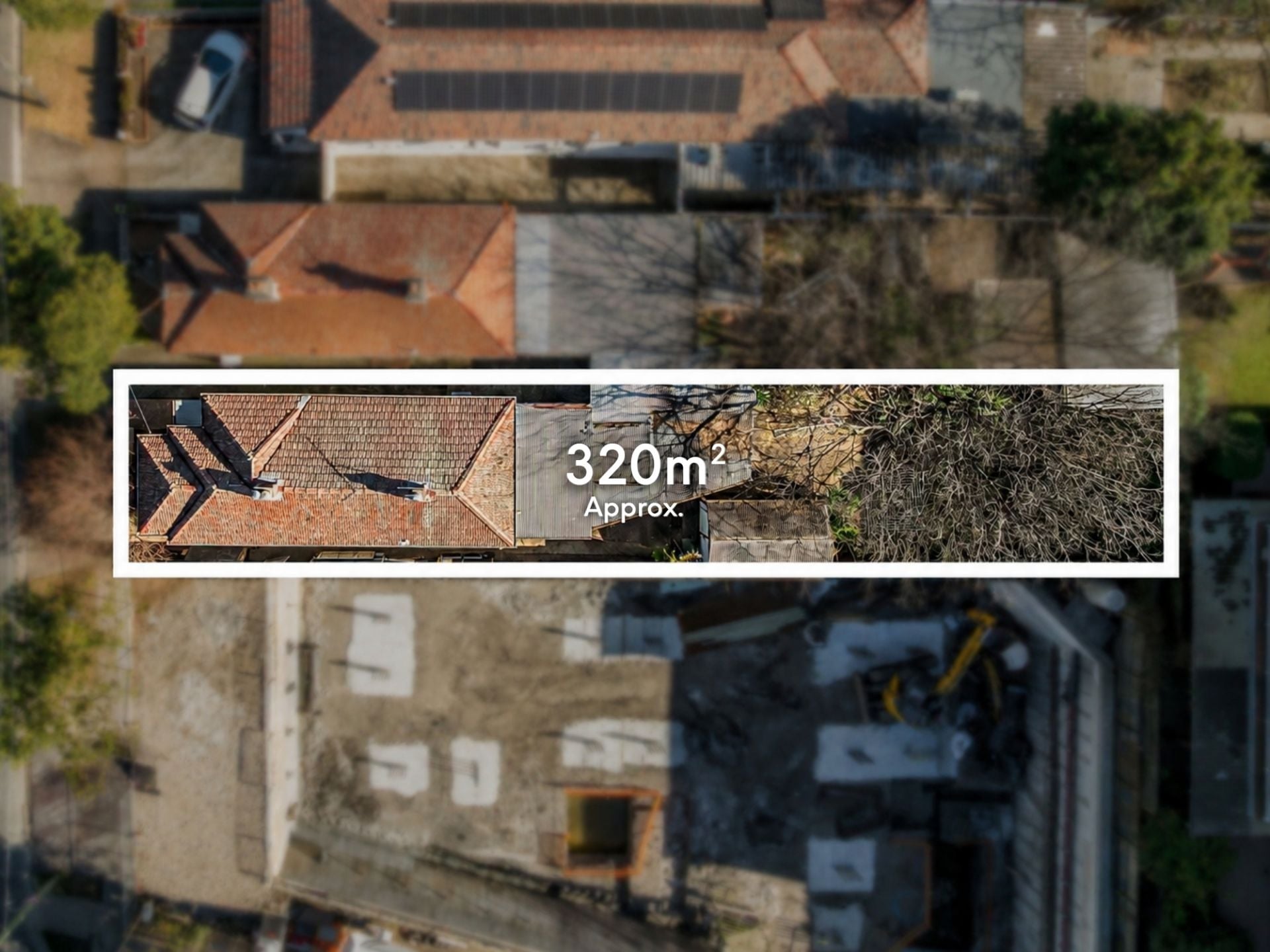 19 Albert Road Strathfield NSW, Strathfield - Thumbnail 3