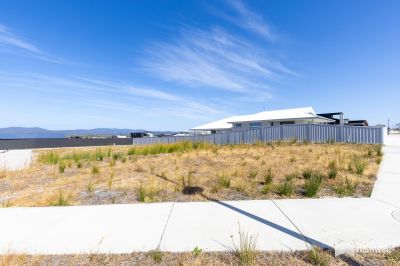 50 Bushland Drive, Hawley Beach, Hawley Beach - Image 1