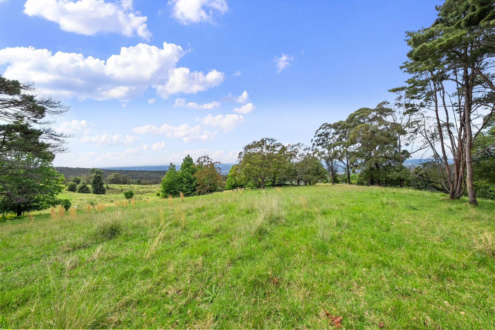 Kurrajong Heights, Kurrajong Heights - Thumbnail 4