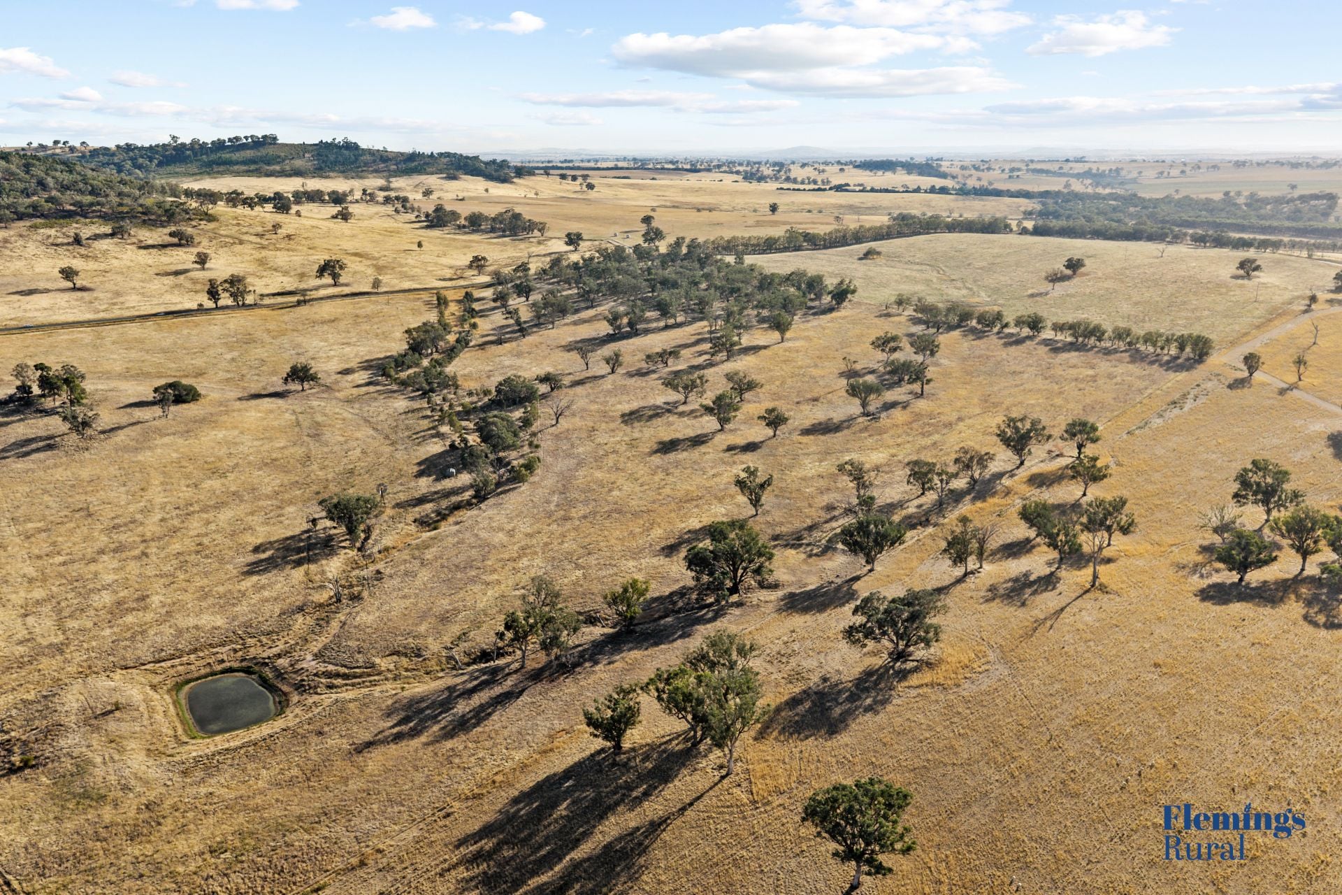 145 Cusack Road, Boorowa NSW, Boorowa - Thumbnail 5