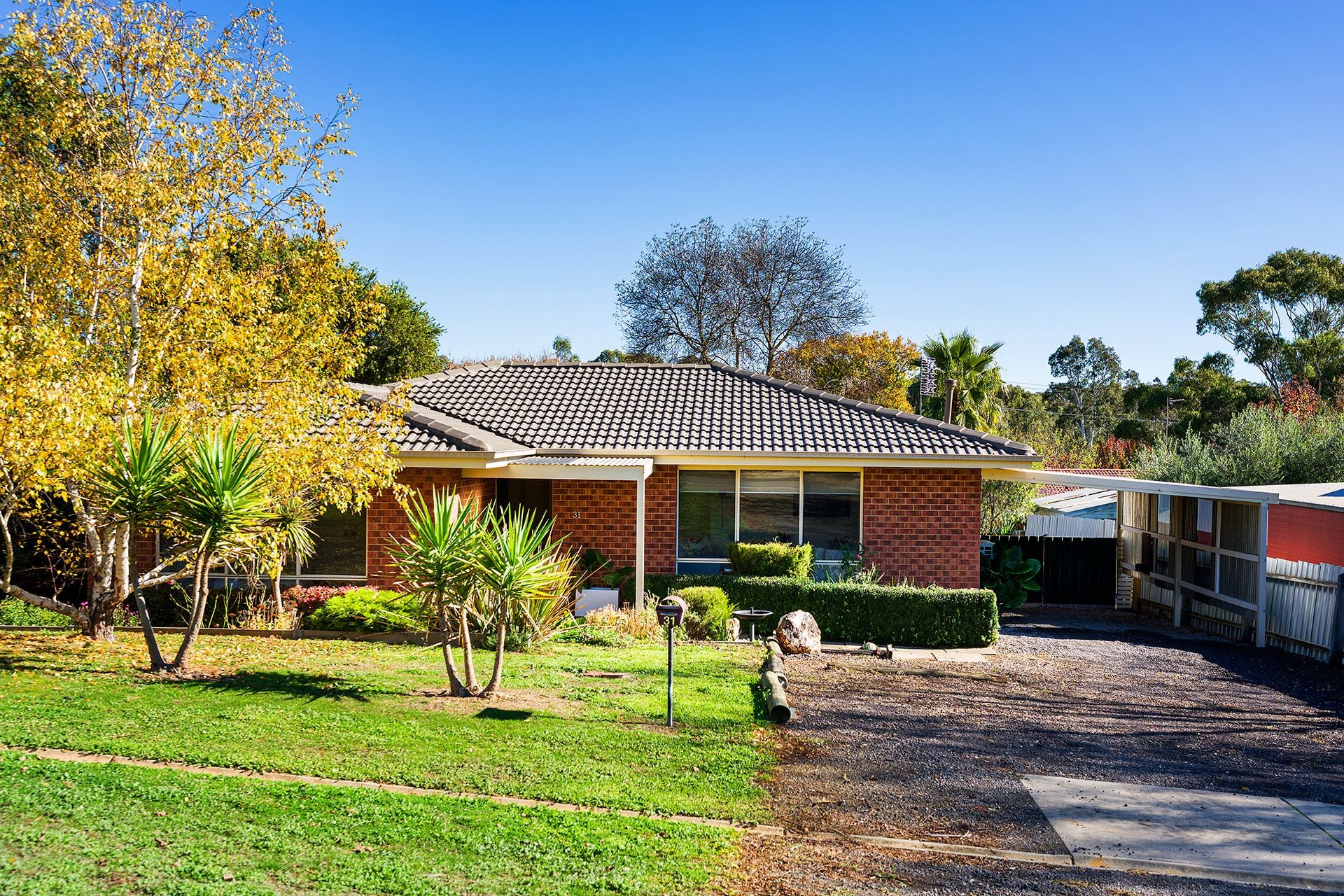 31 Carol Street, Castlemaine - Thumbnail 2