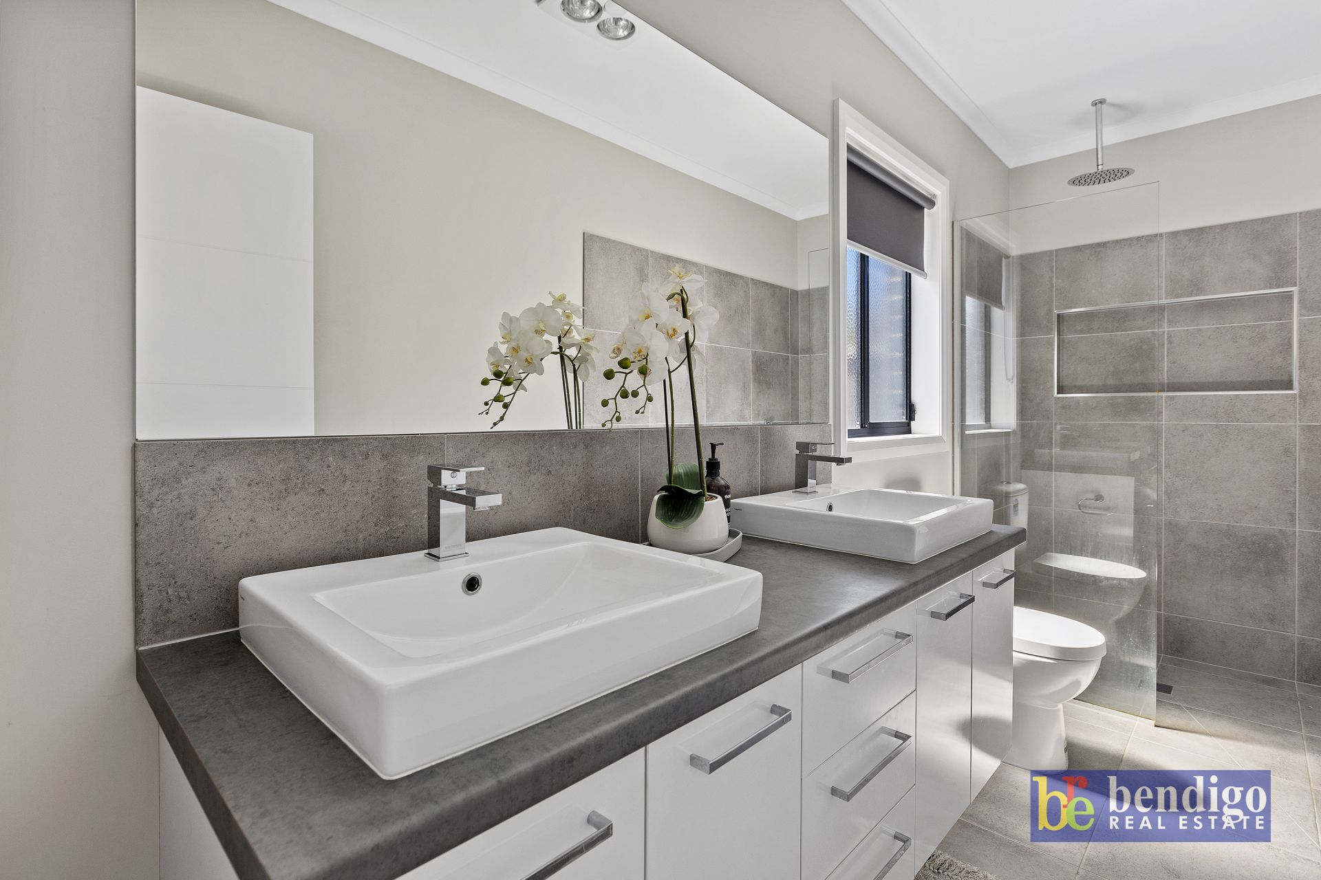 18 Charolais Court Ascot VIC, Ascot - Thumbnail 4