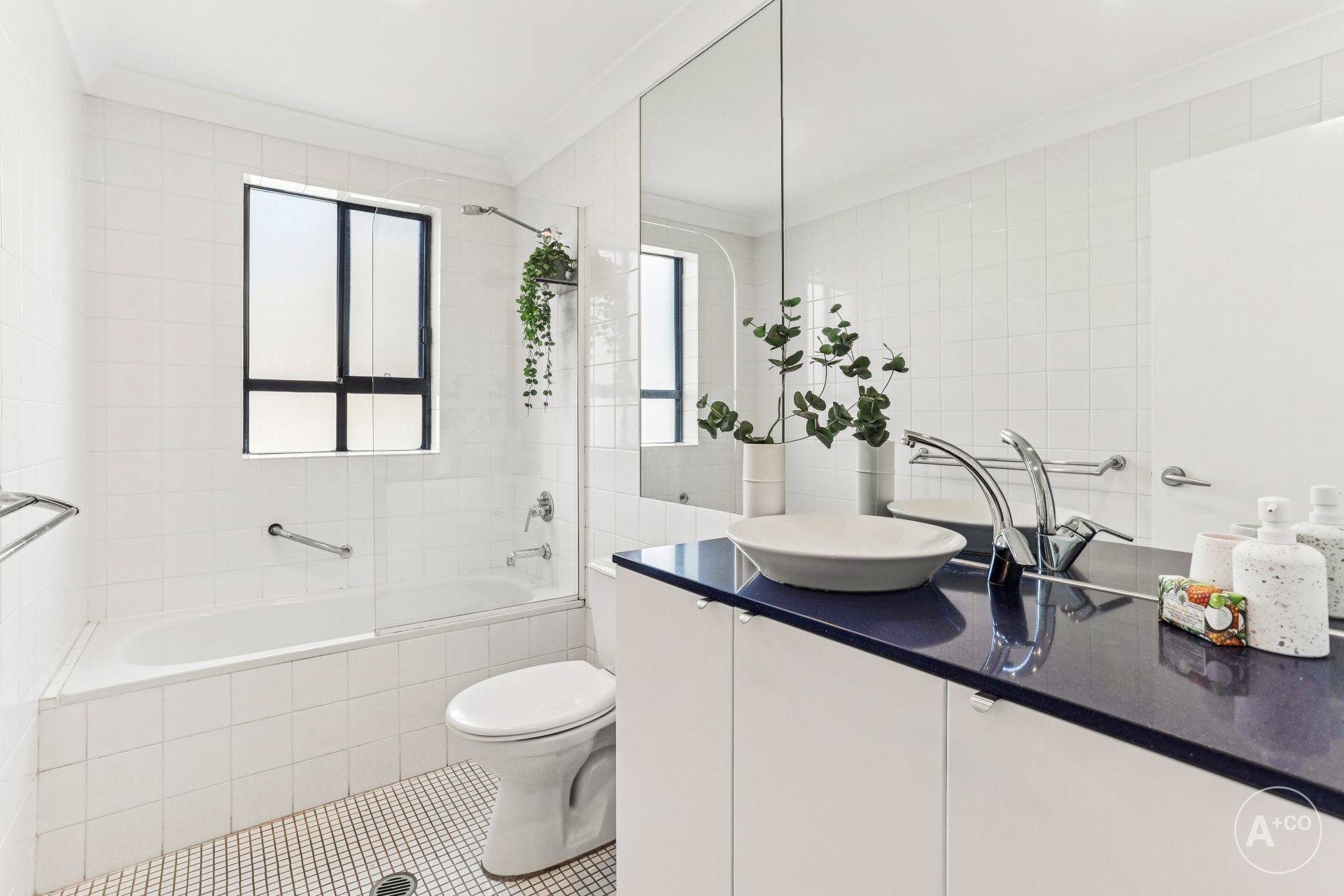 70/15 Begonia Street, Pagewood