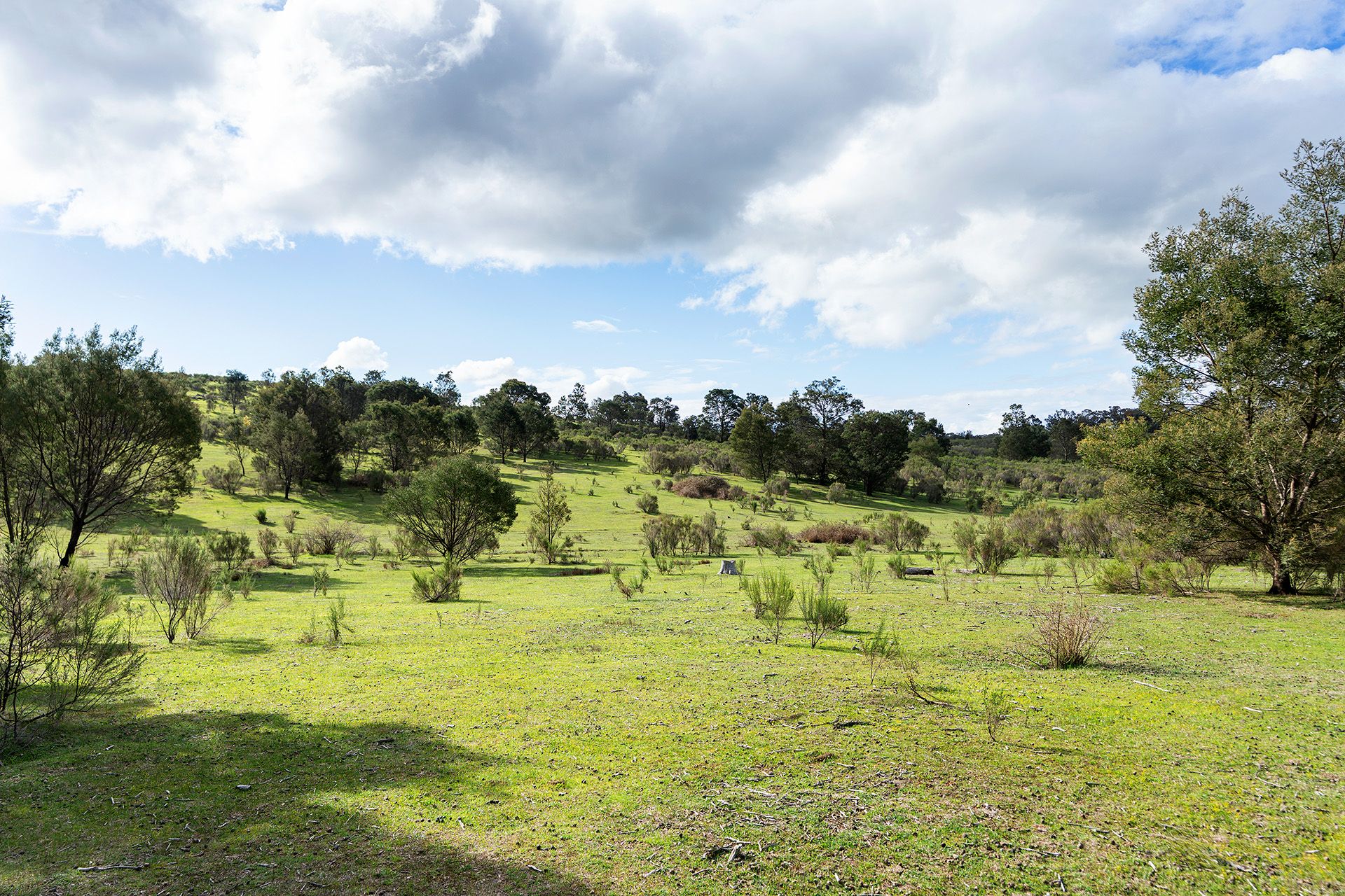 130 Cypress Drive, Elphinstone - Thumbnail 7