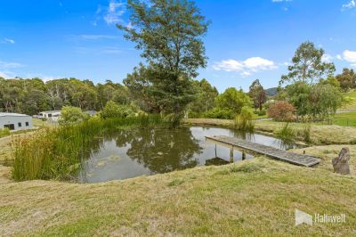 114 Grandview Drive, South Spreyton, South Spreyton - Thumbnail 8