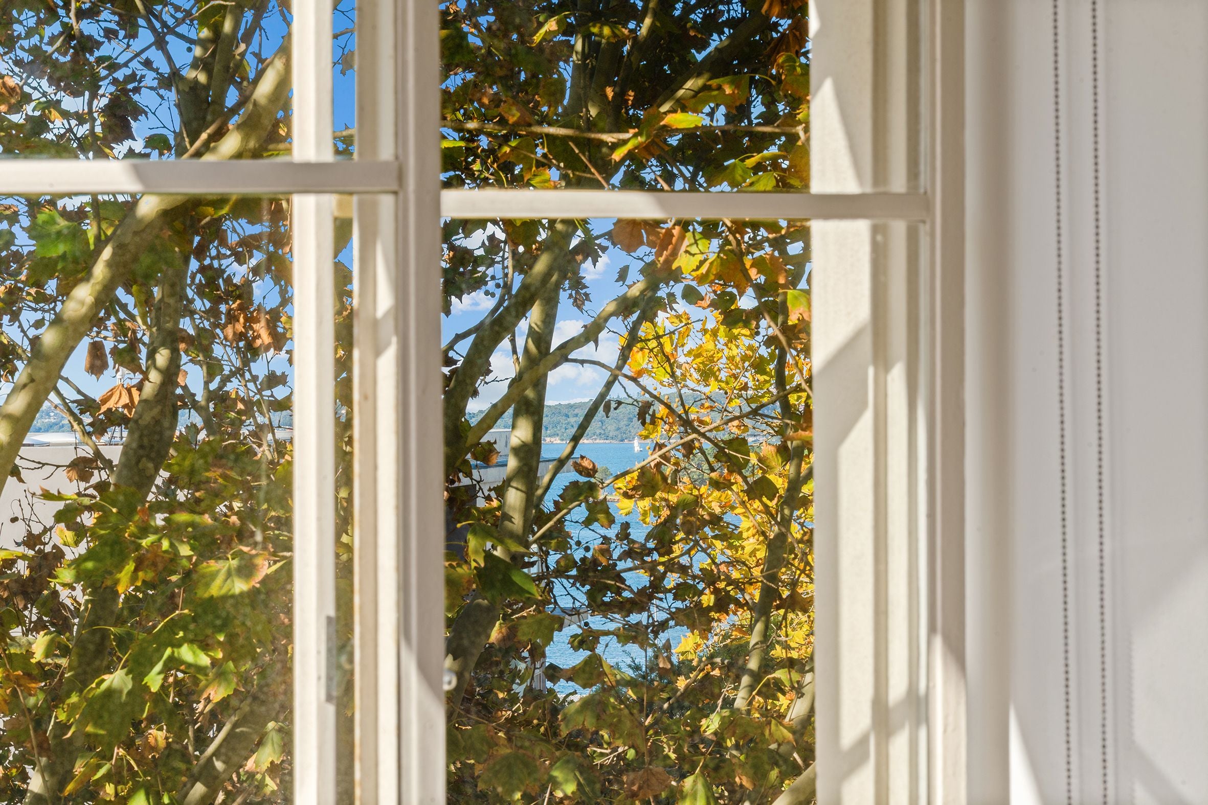 43/17 Wylde Street, Potts Point