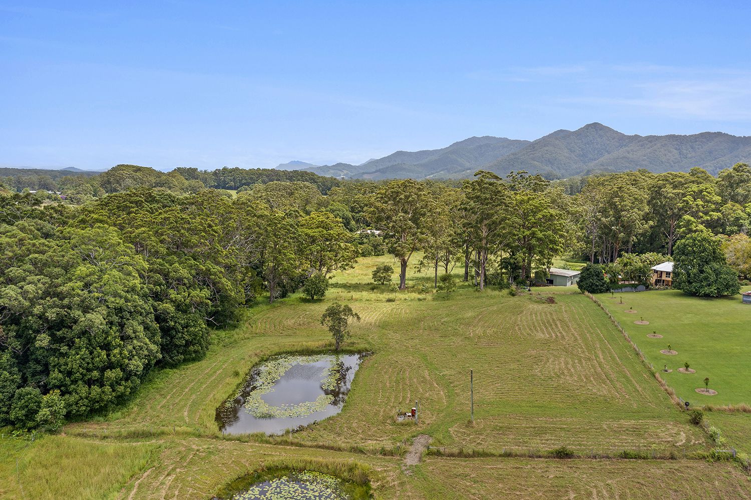 Lot 3/2B Herdegen Close, Bonville, Bonville - Thumbnail 6