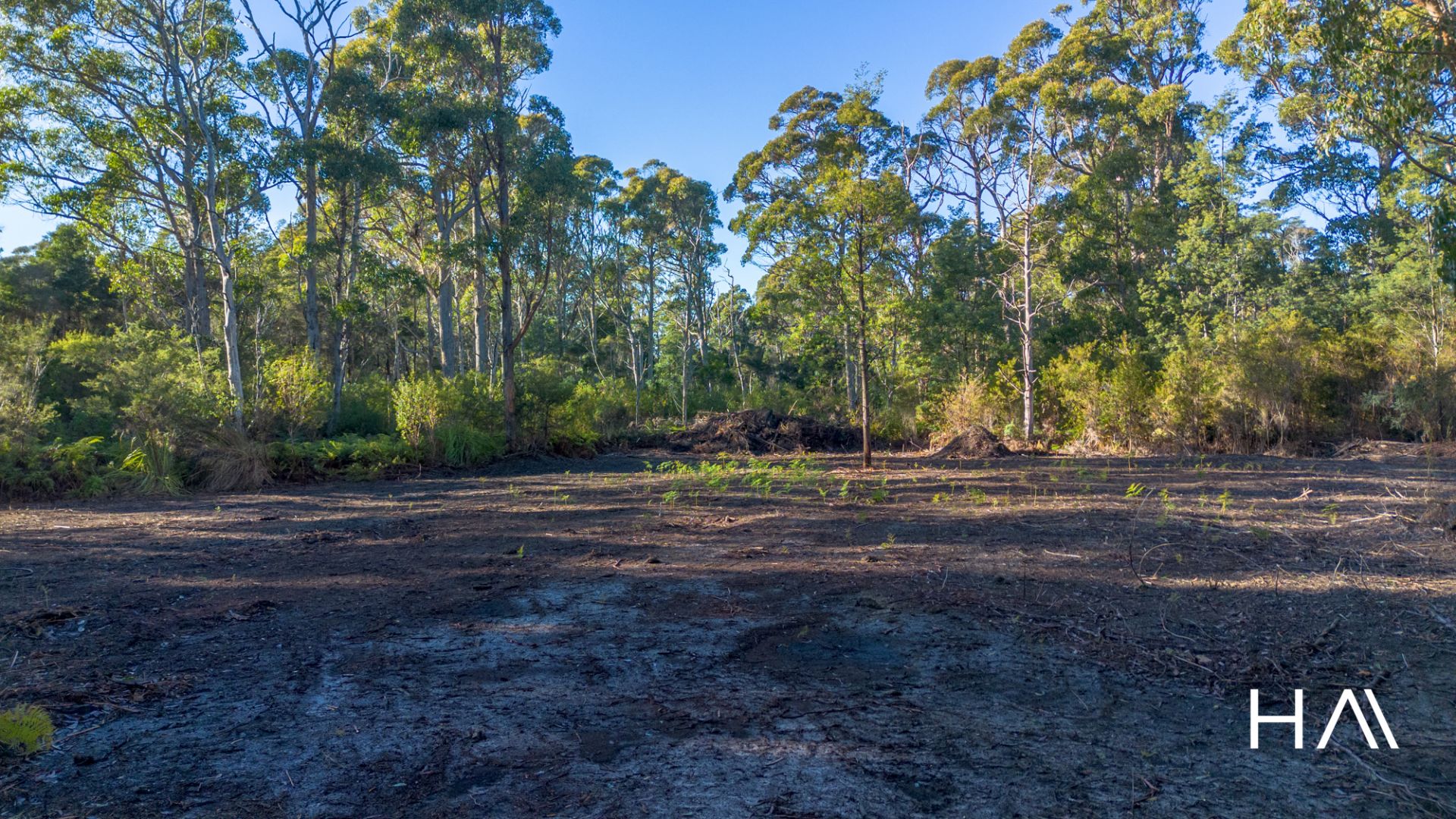 2/5560 Bridport Road Pipers River, Pipers River - Thumbnail 6