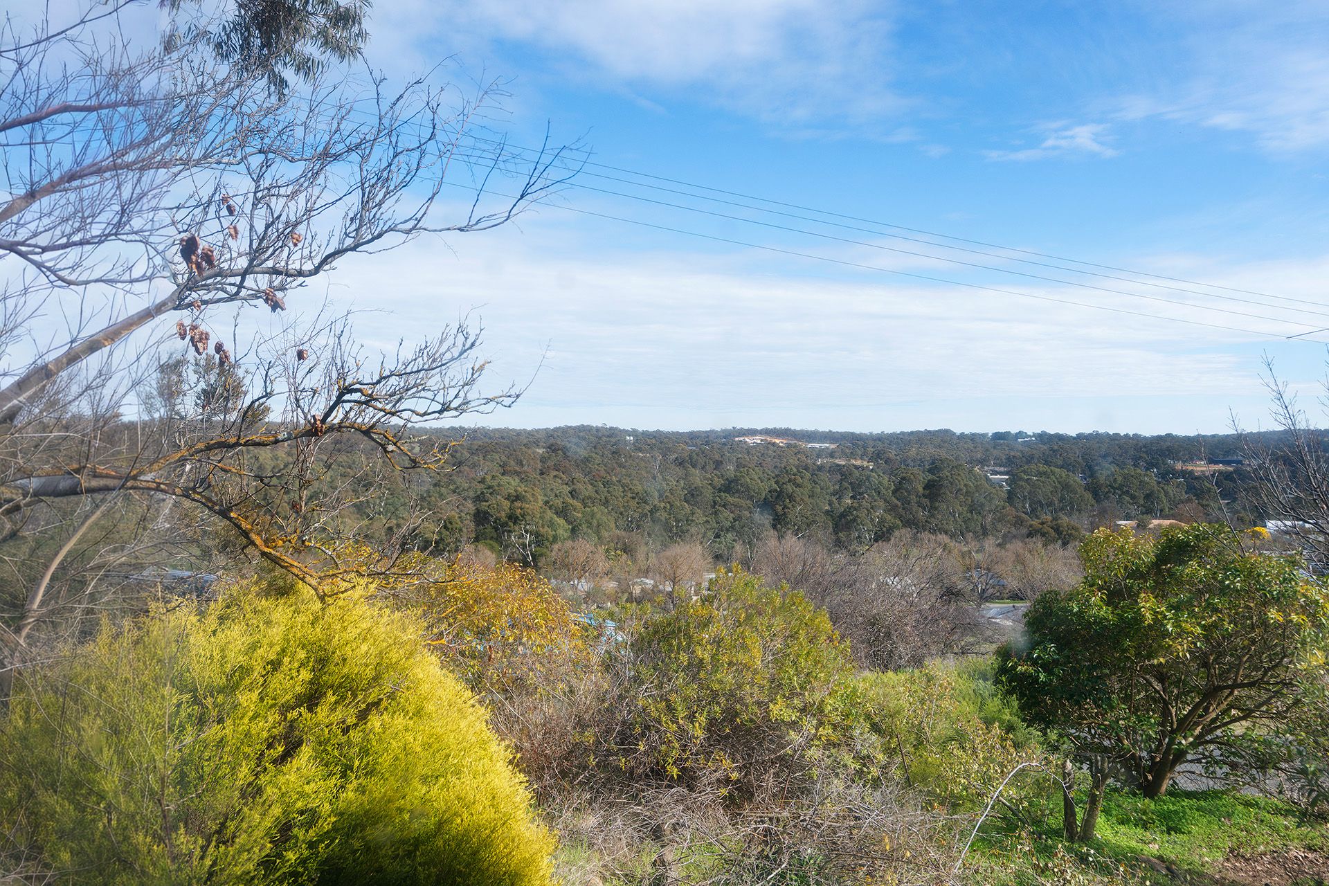 4 Redfearn Street, Castlemaine - Thumbnail 4