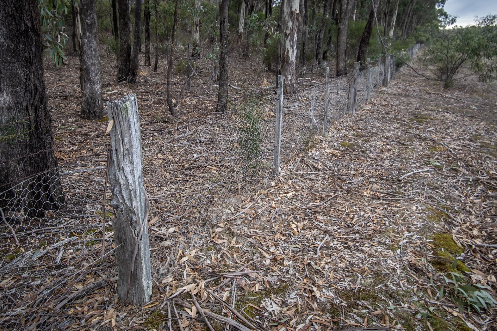 6/ Section 1 Rheola Arnold Road, Rheola - Thumbnail 7