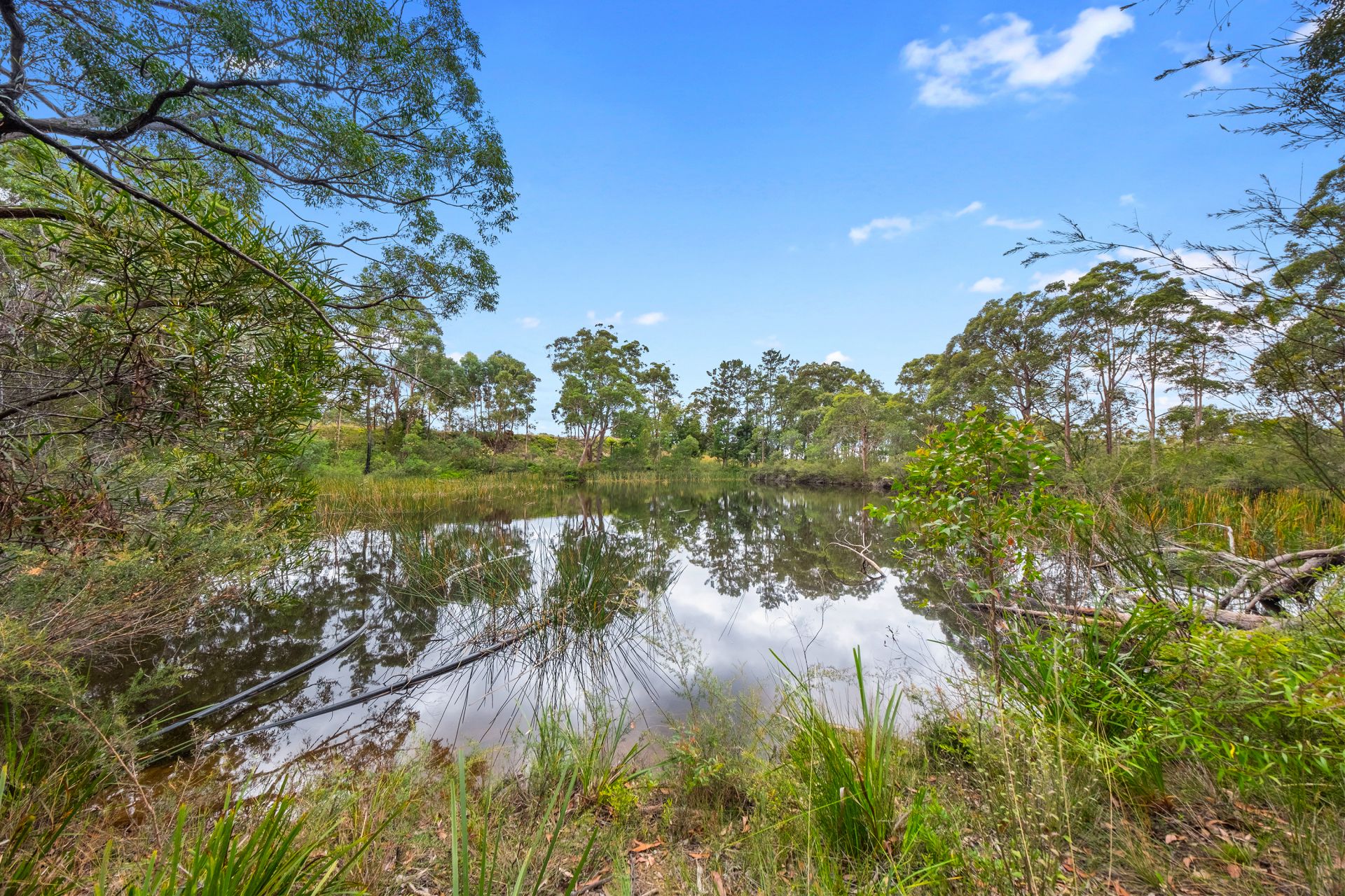 110 Mountain Lagoon Road, Bilpin, Bilpin - Thumbnail 6