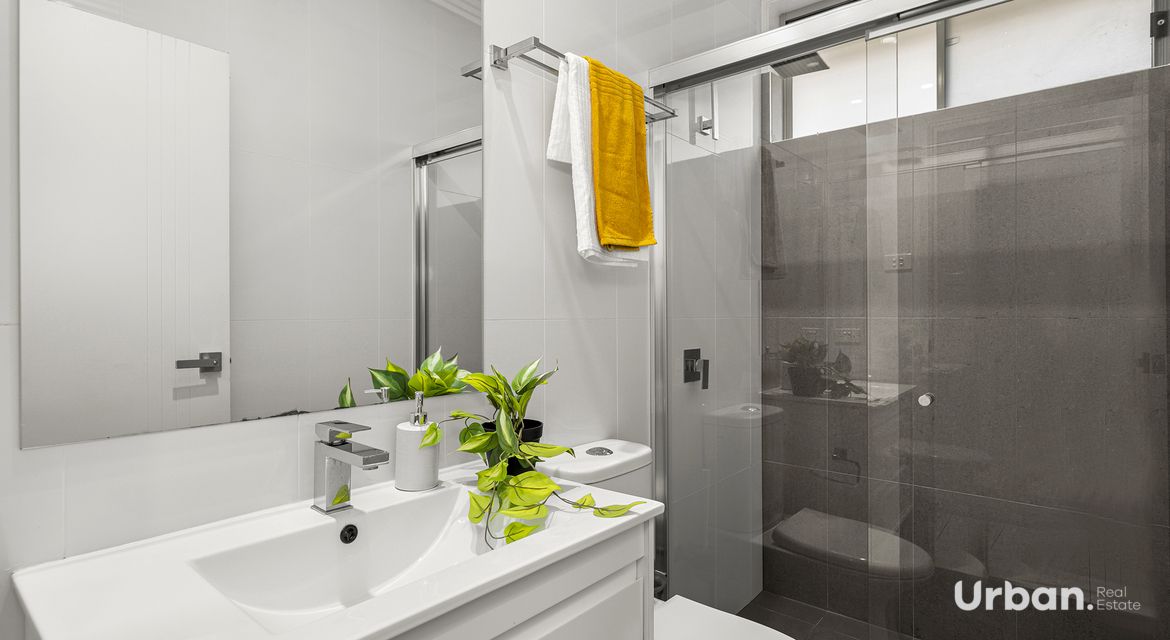 Schofields 2 Shen Street