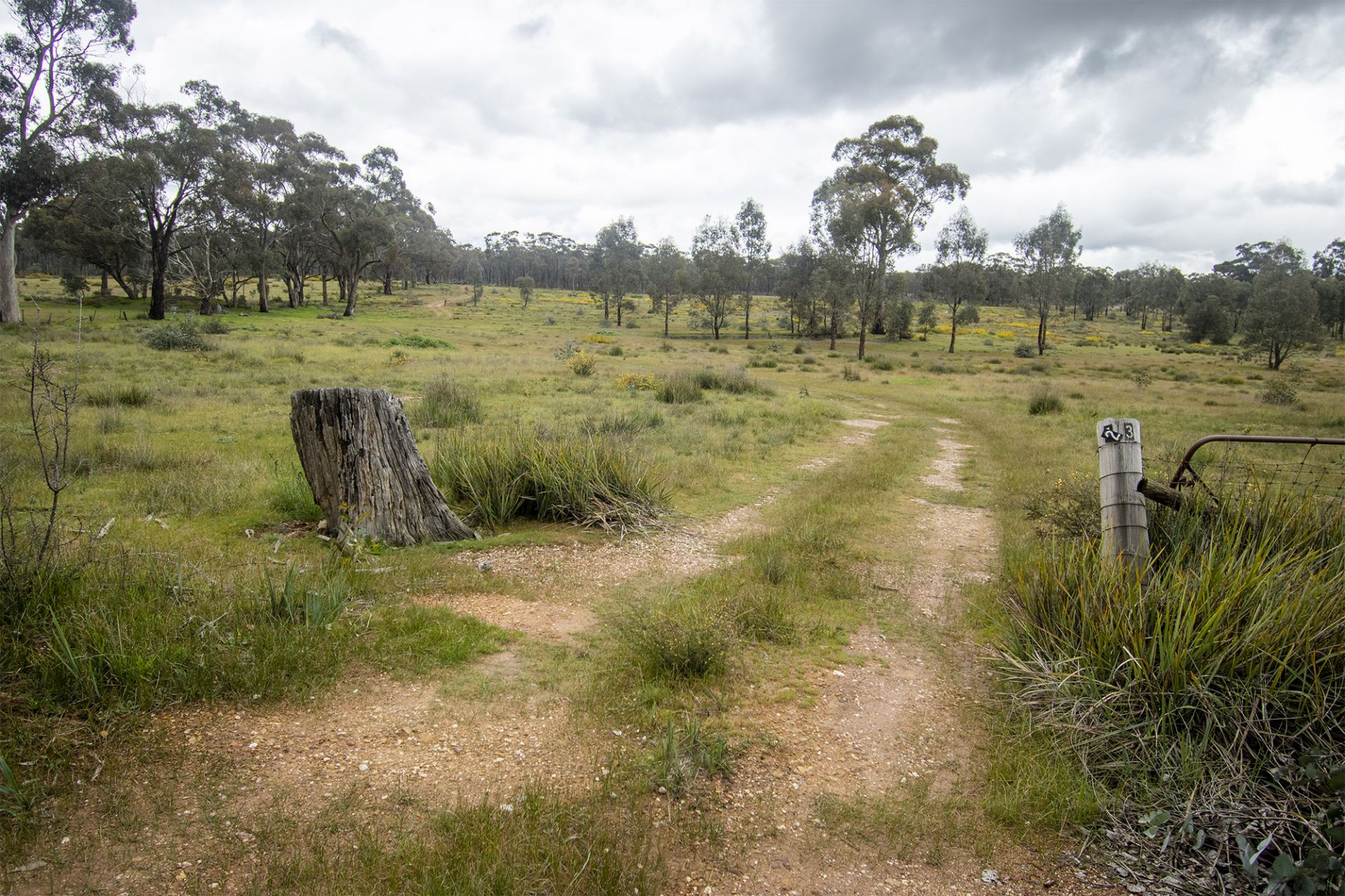 31/123 Logan Road, Alma - Thumbnail 3