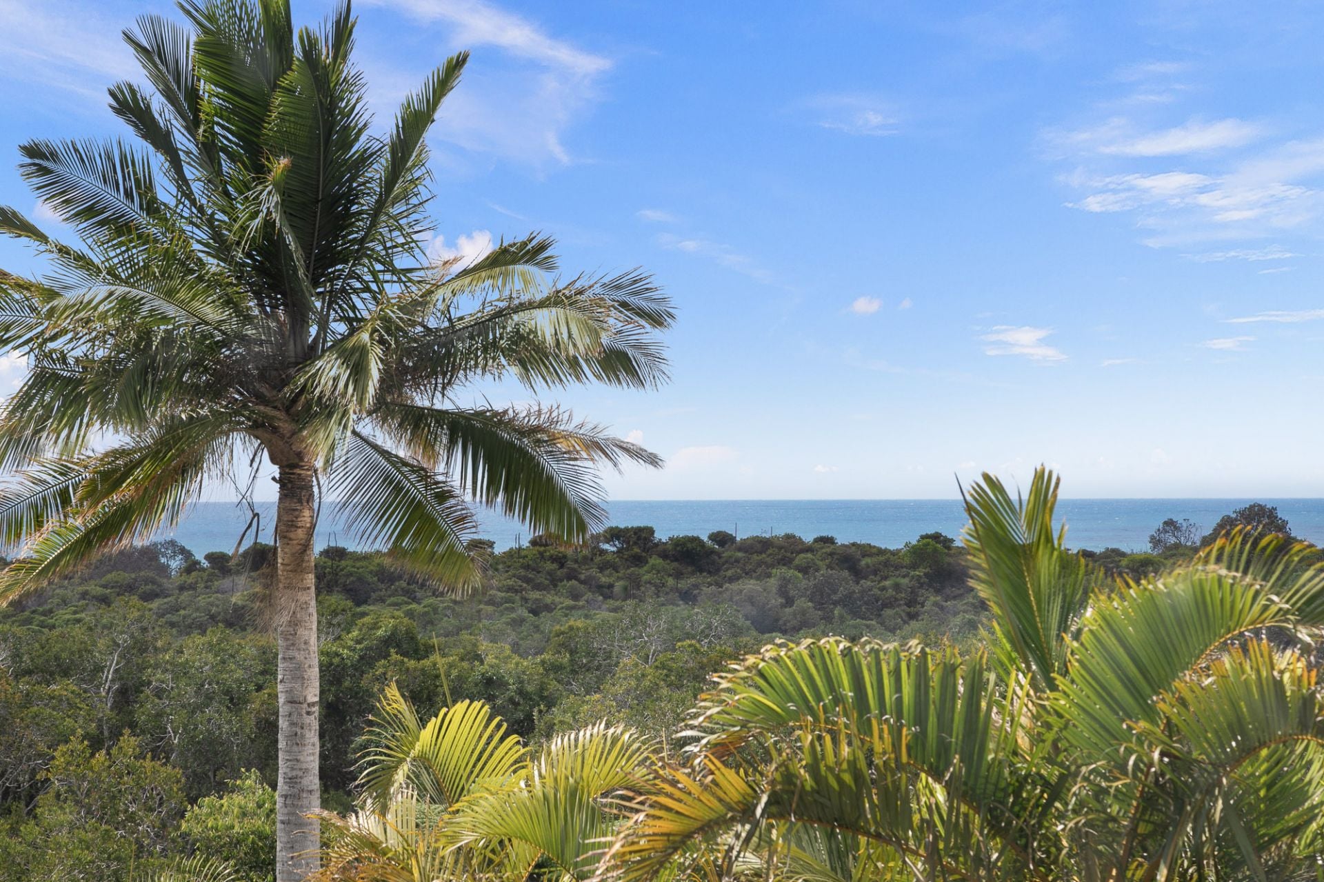 63 Paterson Street, Byron Bay NSW, Byron Bay - Thumbnail 3
