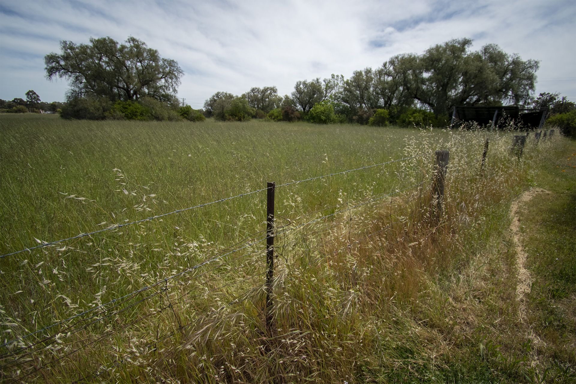 2/of 93 Maude Street, Dunolly - Thumbnail 8