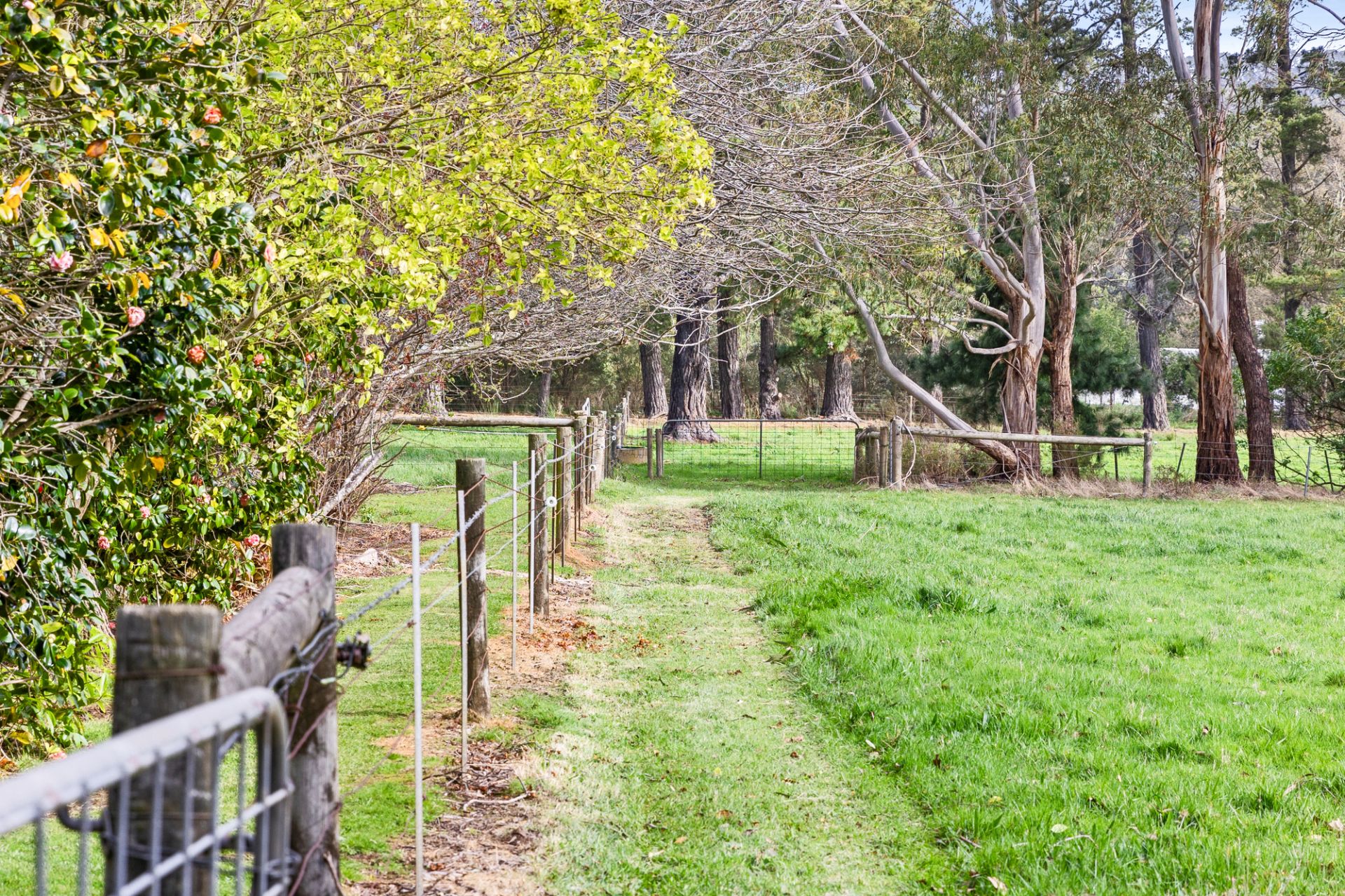 4 Kentucky Road, Merricks North, Merricks North - Thumbnail 6