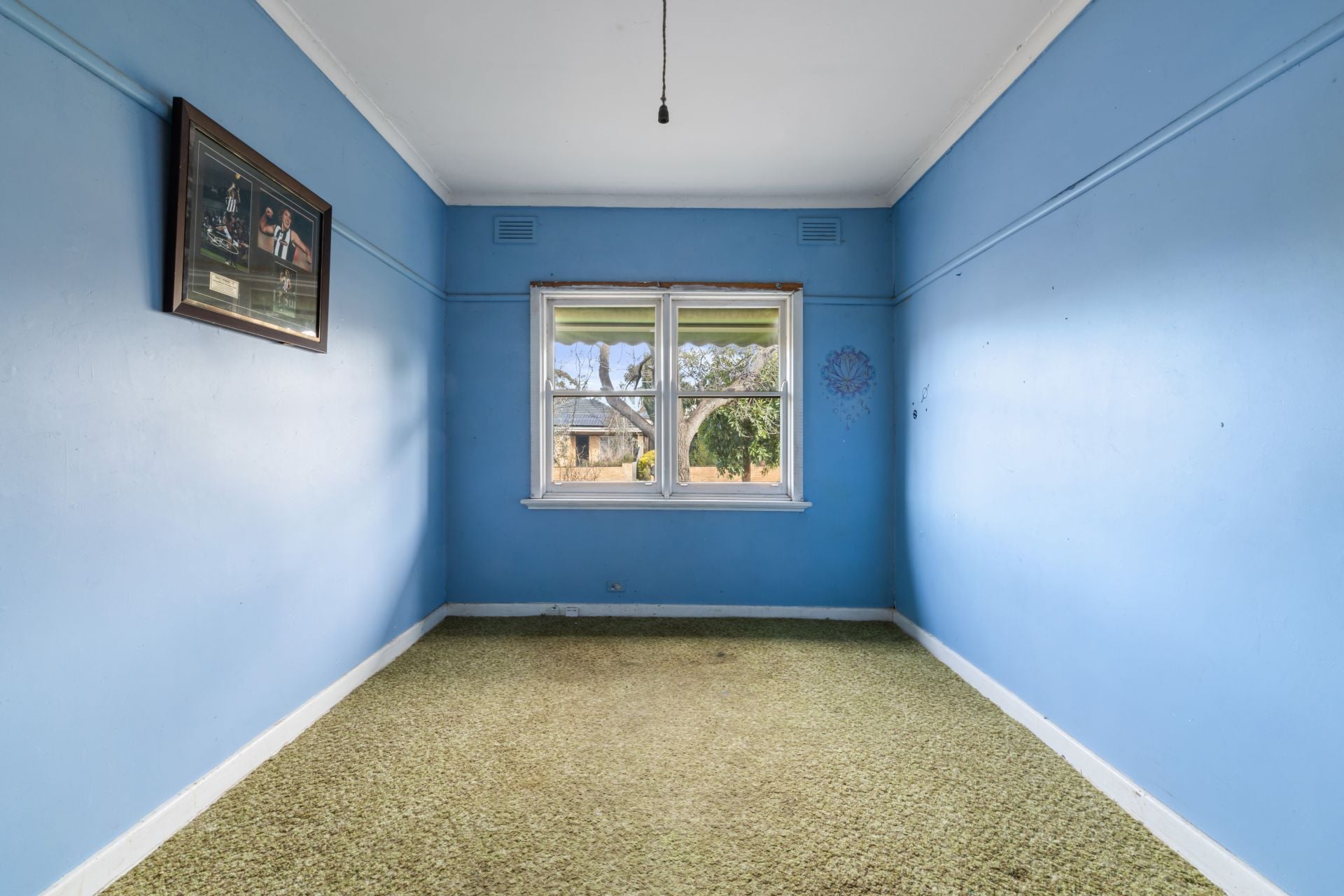 Renovators Delight