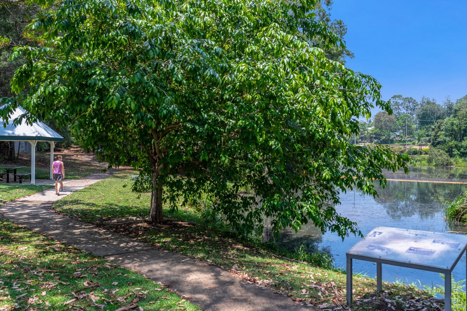 15/31 Abbotts Road Palmwoods QLD, Palmwoods - Thumbnail 8