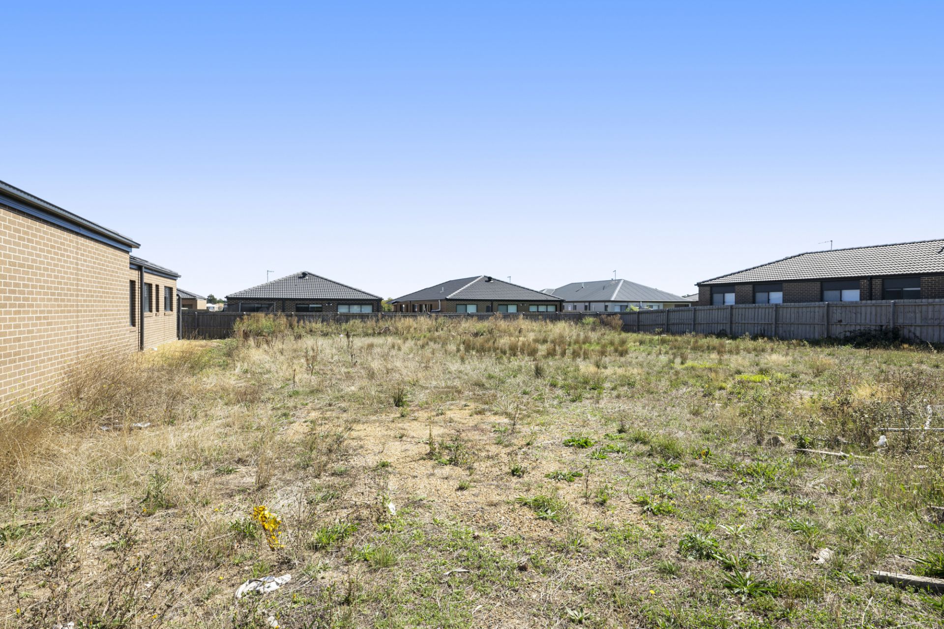 24 Dahlia Street, Bonshaw, Bonshaw - Image 1