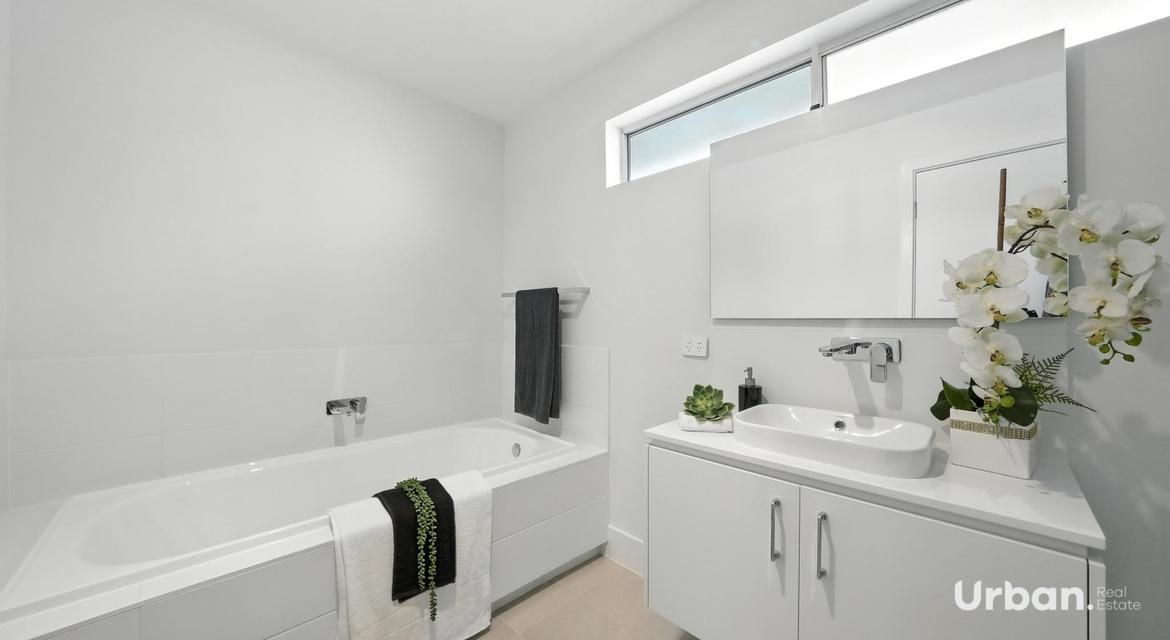 Austral 23 Fog Street