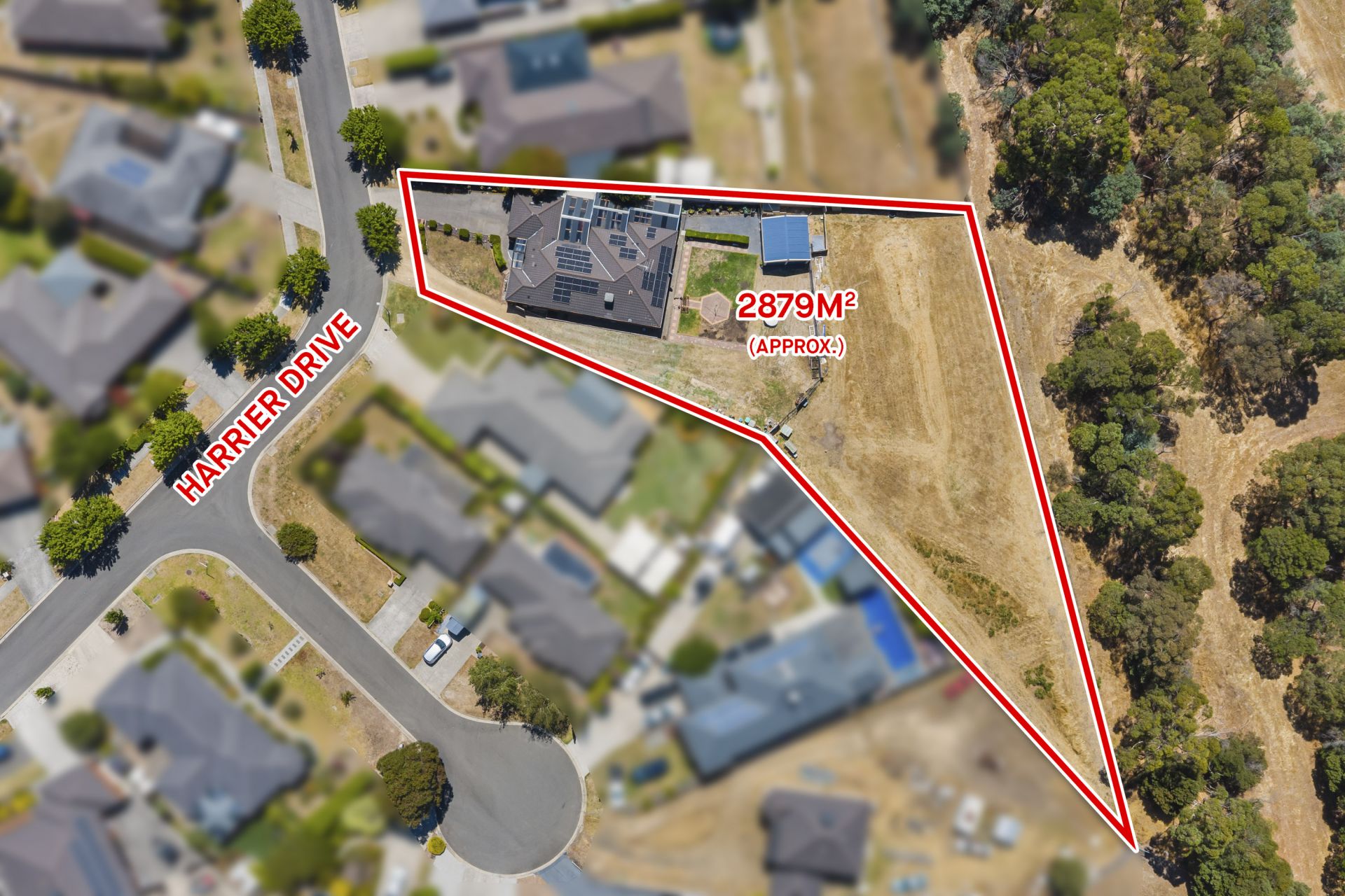 36 Harrier Drive, Invermay Park, Invermay Park - Thumbnail 4