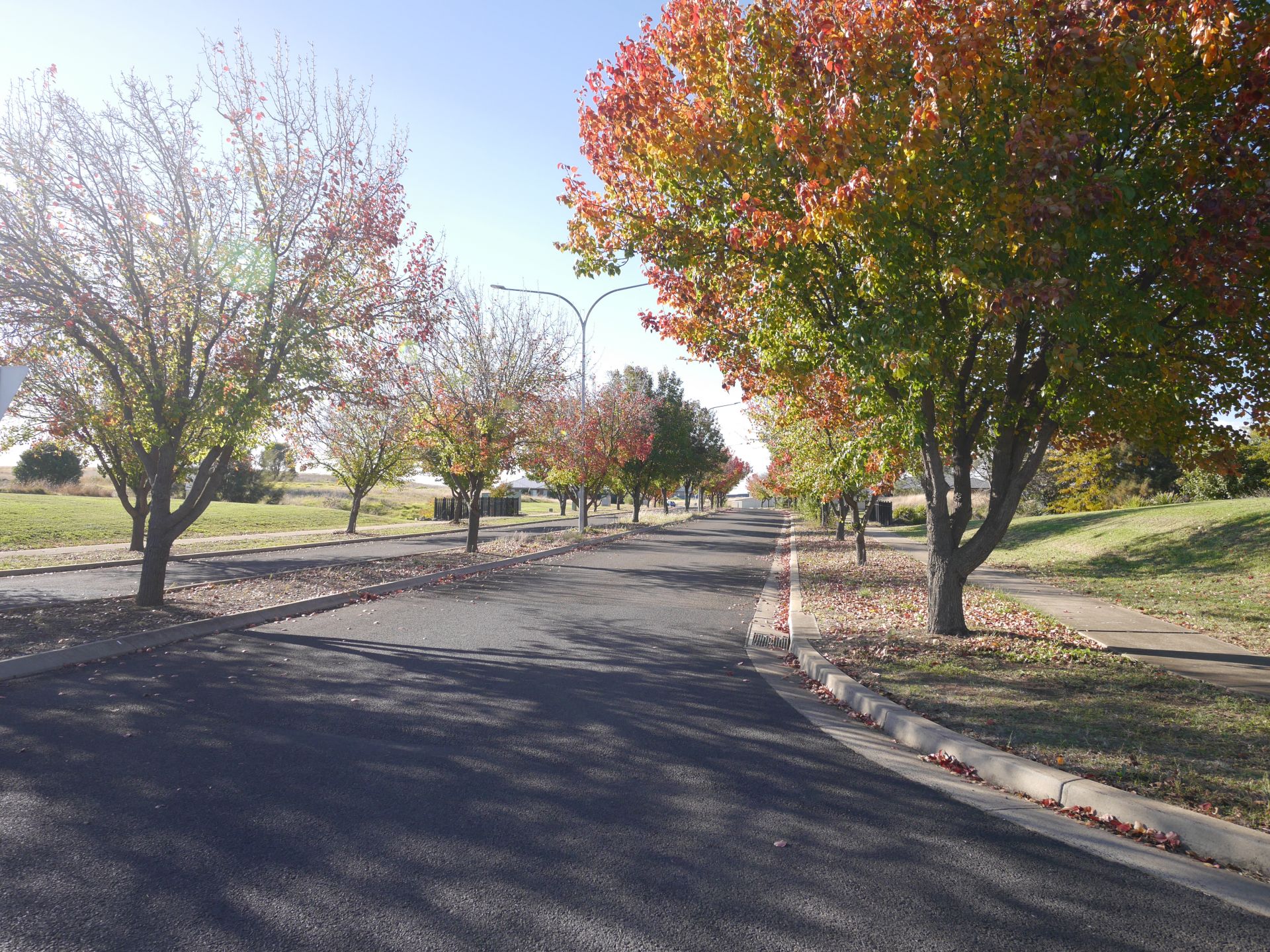 19 Pinot Street, COWRA, Cowra - Thumbnail 6