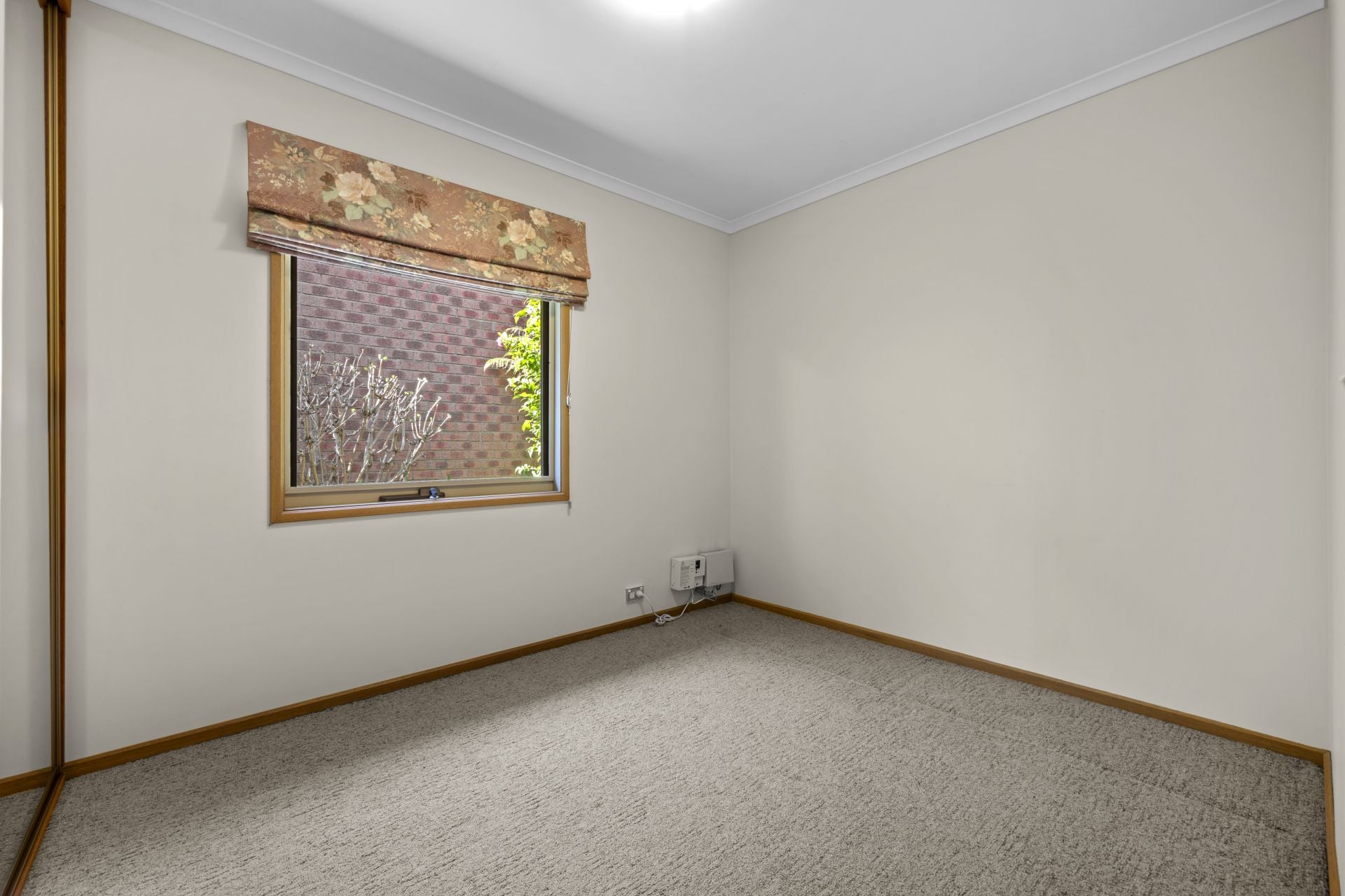 Spacious Dimensions, Incredible Potential