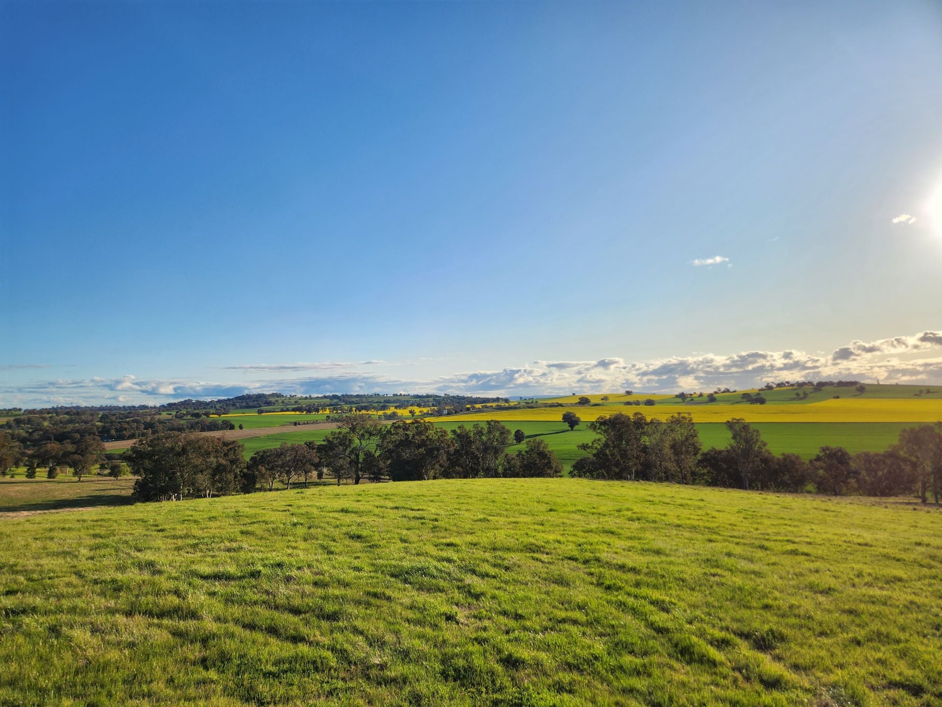 Lot 9 Willowvale Road, Cowra NSW, Cowra - Thumbnail 2