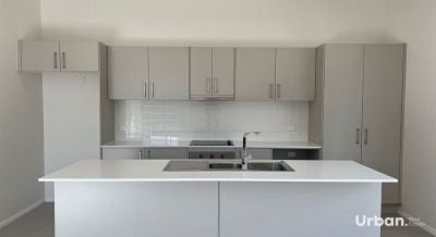 Paxton 1/82 William Street