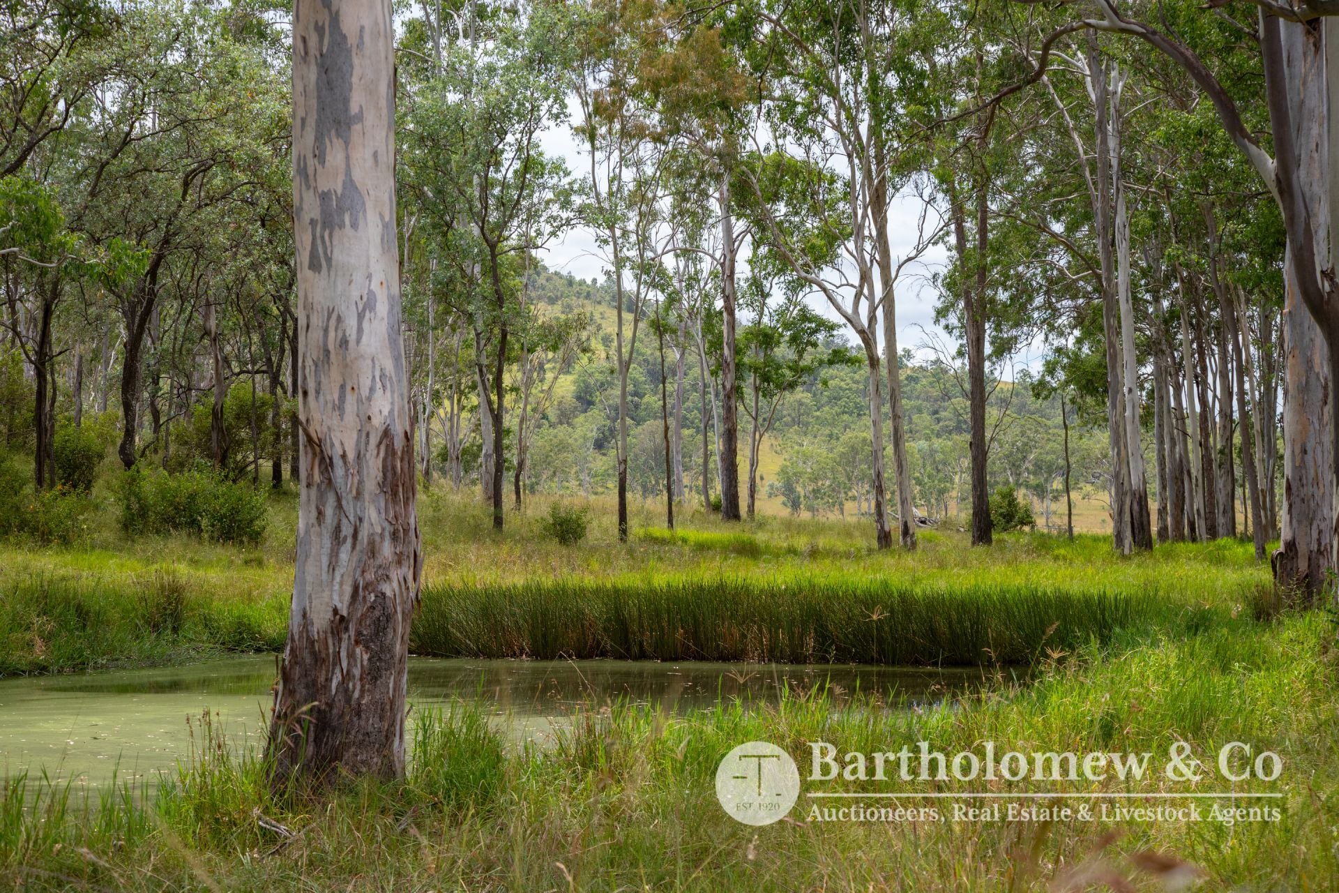 Lot 19 & 20 Koch Road Frazerview QLD, Frazerview - Thumbnail 4