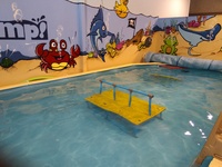 Make Money by Swimming.