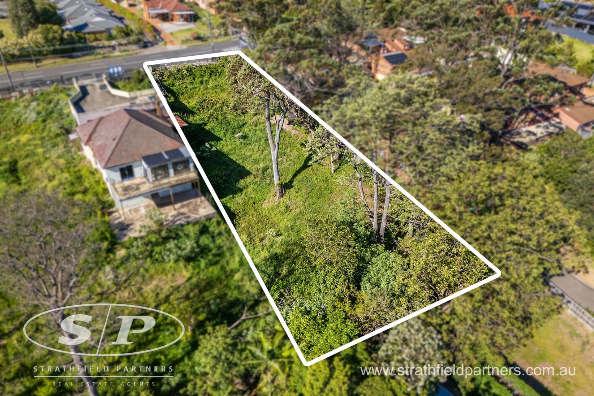 298 Blaxland Road, Ryde, Ryde - Thumbnail 5