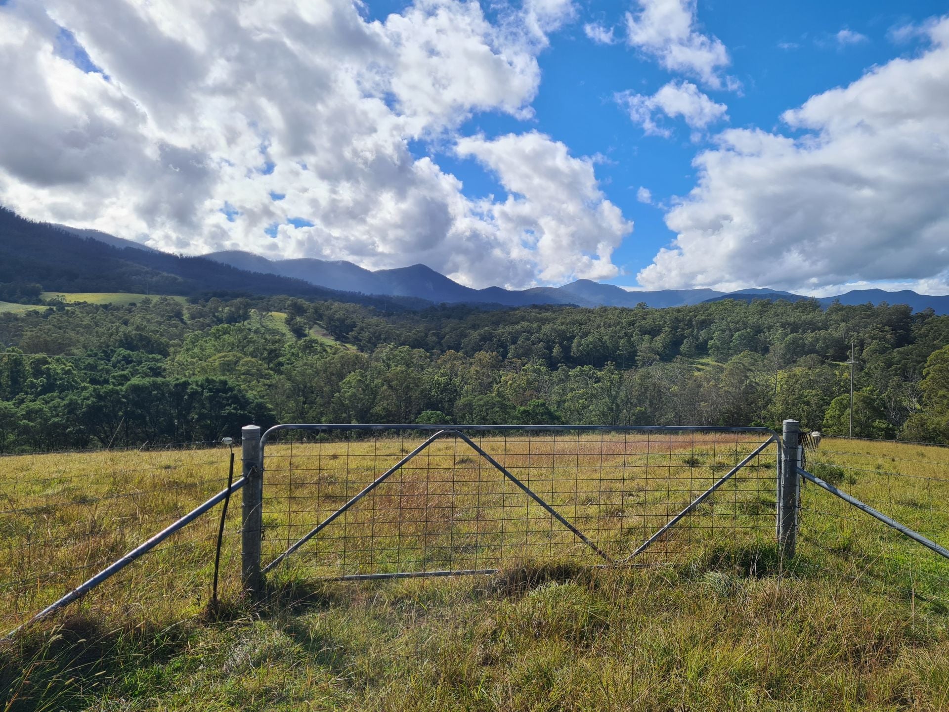 3644 Snowy Mountains Highway, Bemboka NSW 2550