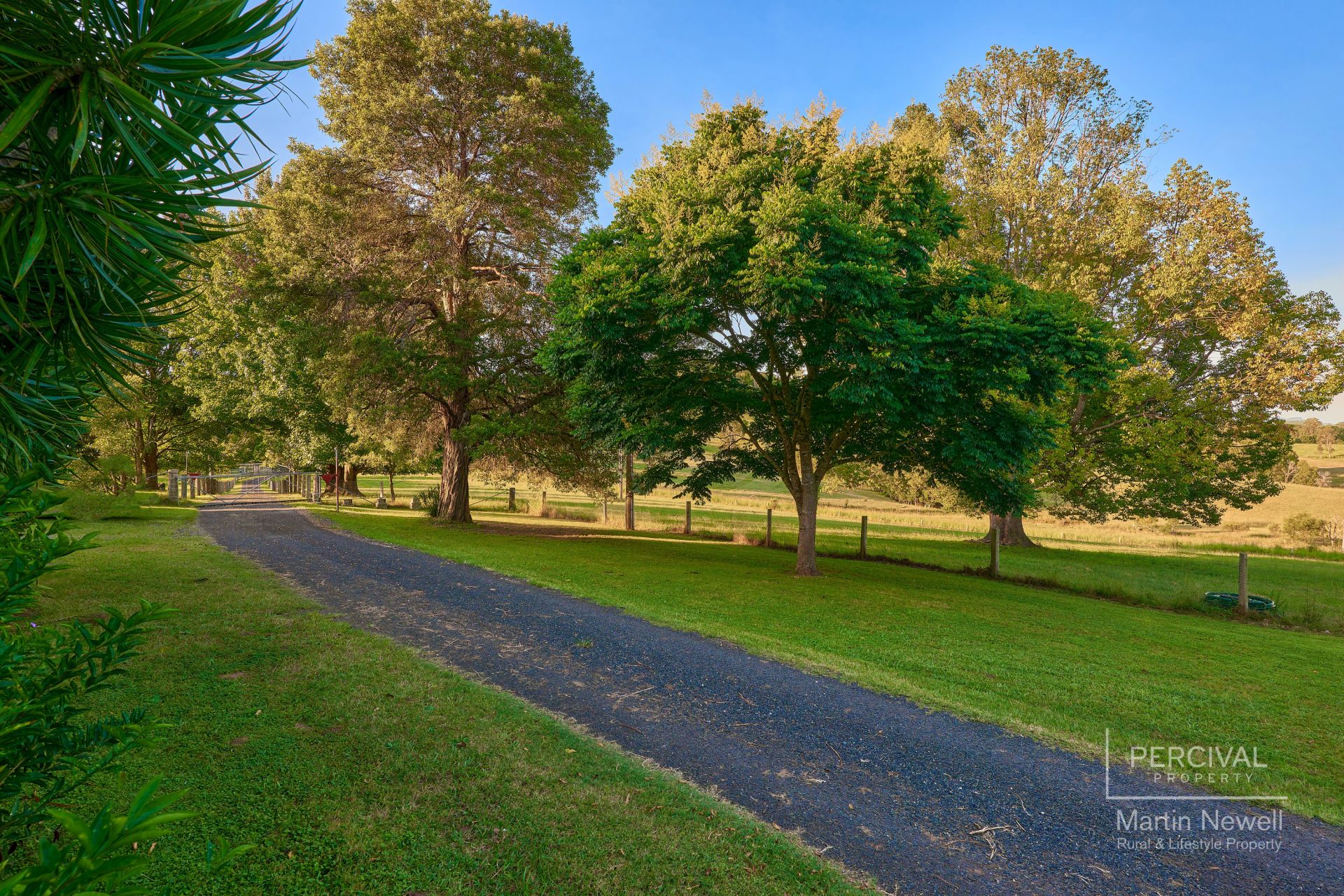 51 North Branch Road Upsalls Creek NSW, Upsalls Creek - Thumbnail 5