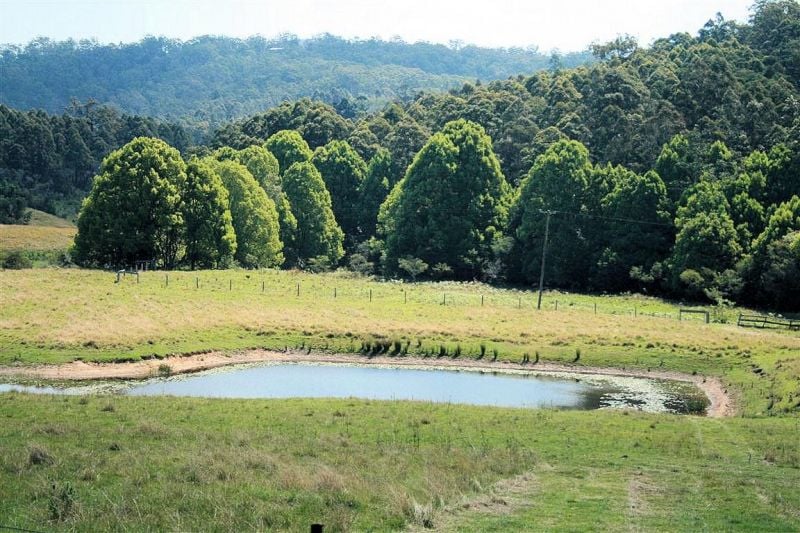141 Duffus Road UPPER CORINDI NSW
