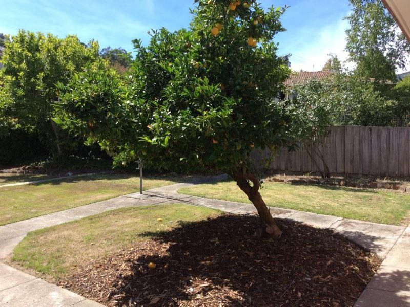 11 Garden Grove SOUTH LAUNCESTON, South Launceston - Thumbnail 5