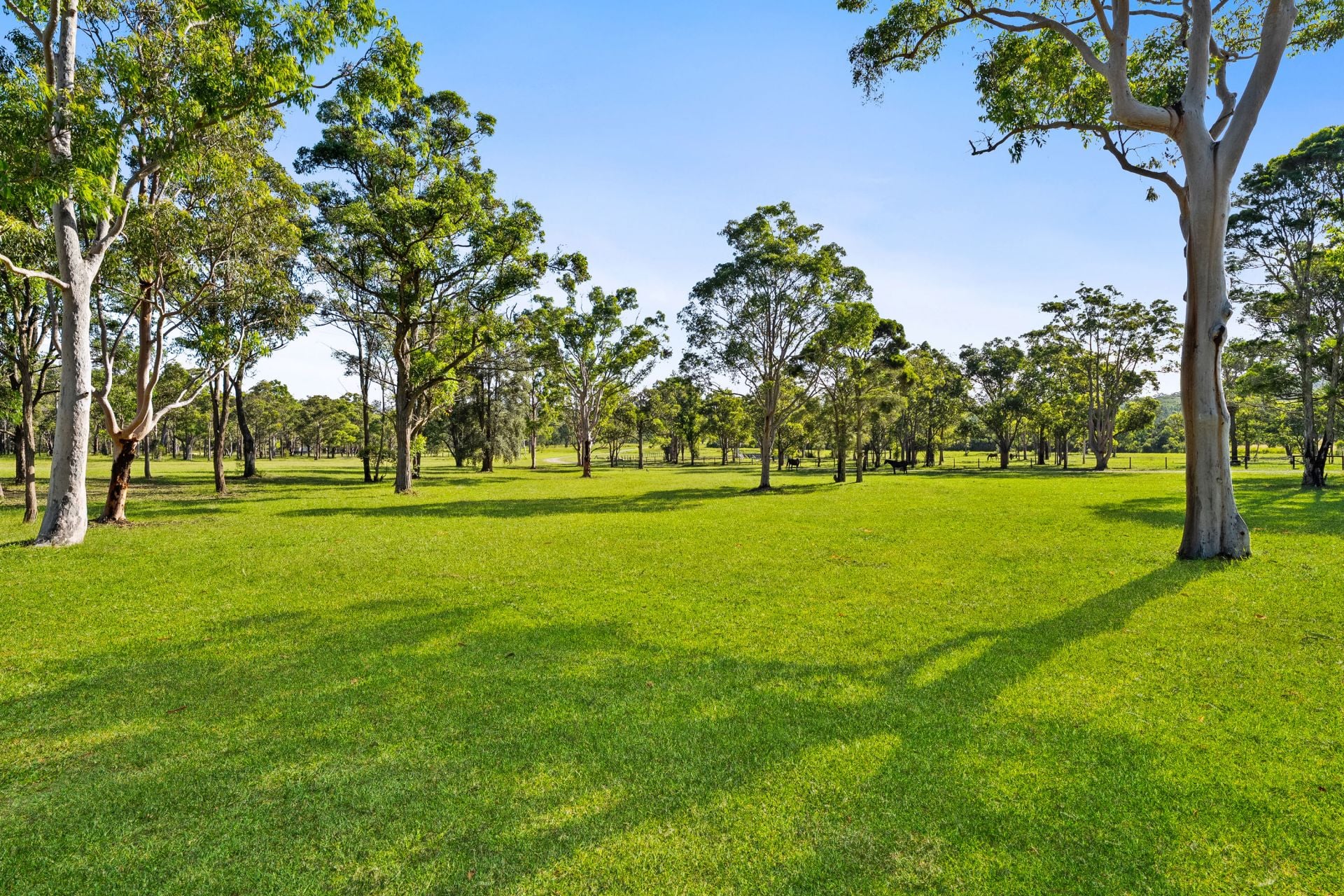 10A Cottesloe Road, Jilliby, Jilliby - Thumbnail 7