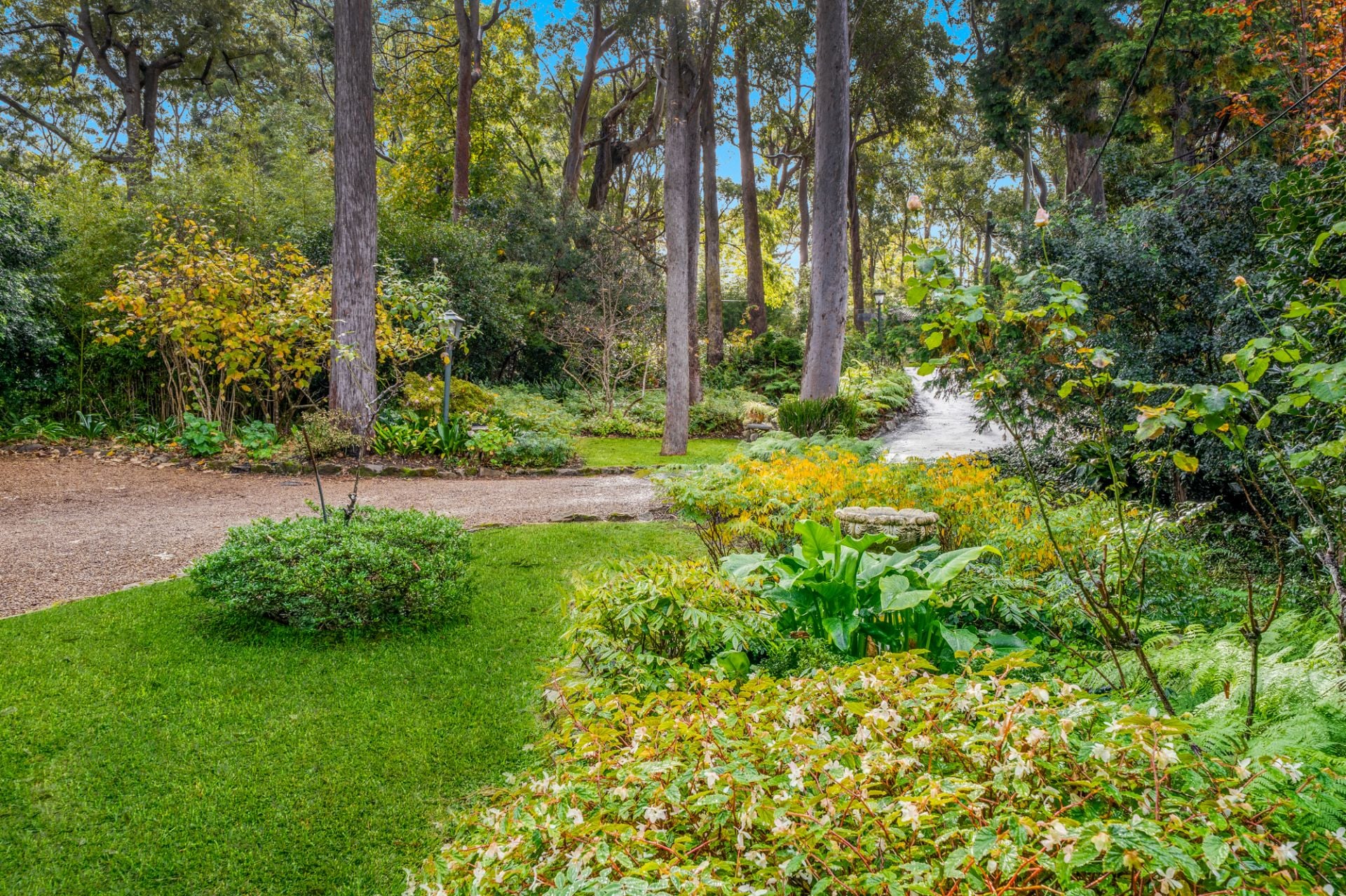12 Cassia Grove, Beecroft, Beecroft - Thumbnail 7