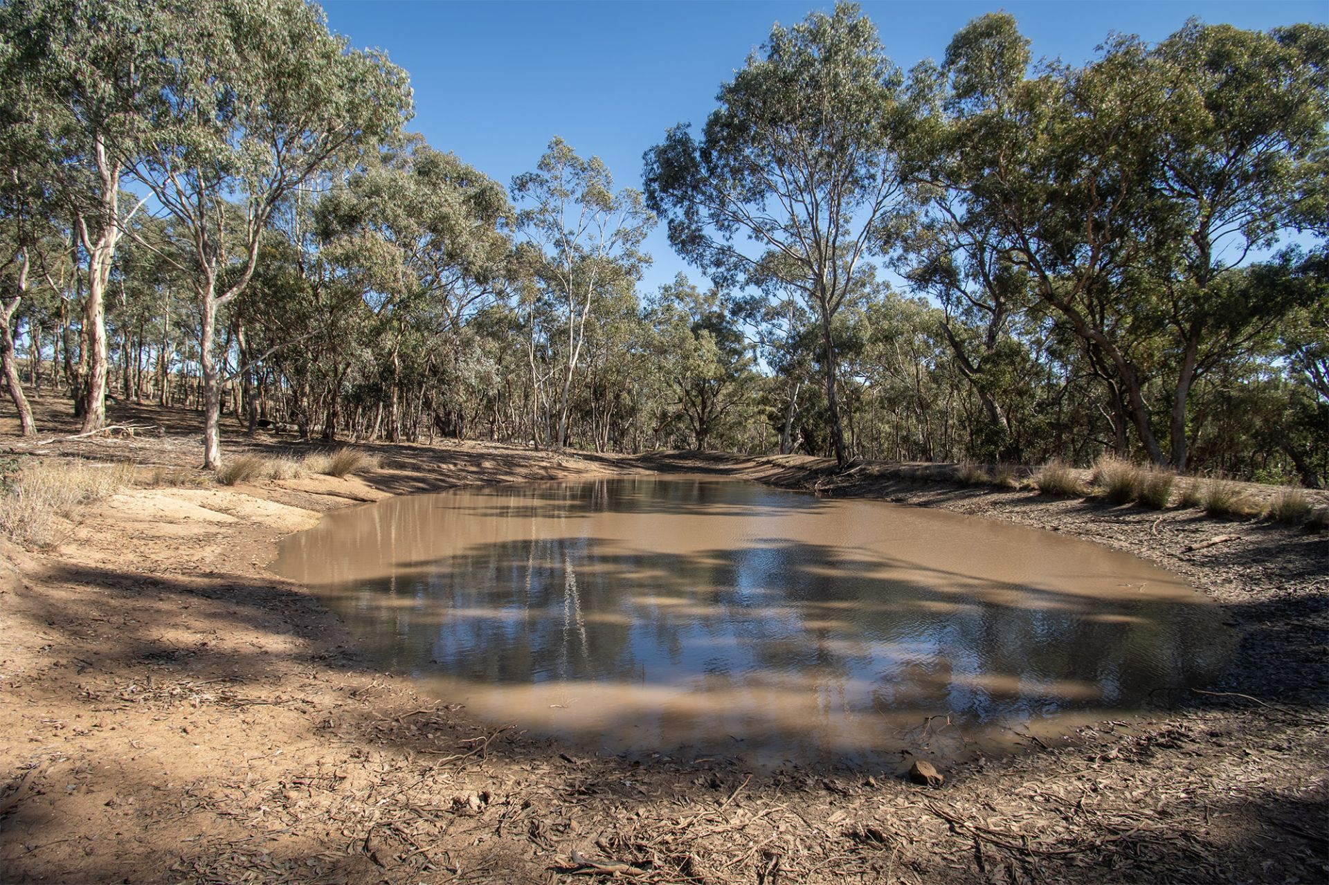 65 Hoopers Road, Mount Glasgow - Thumbnail 8