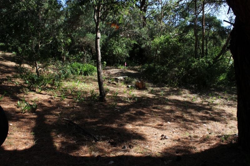60 Louis Road, Venus Bay VIC, Venus Bay - Thumbnail 4