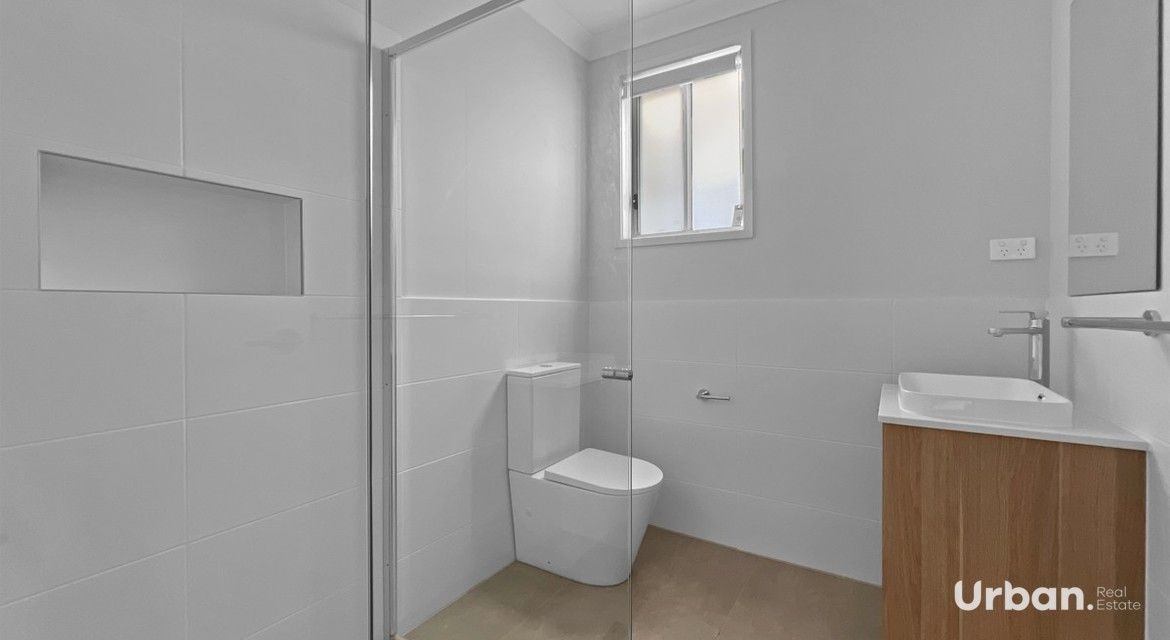 Austral 44 Filly Road