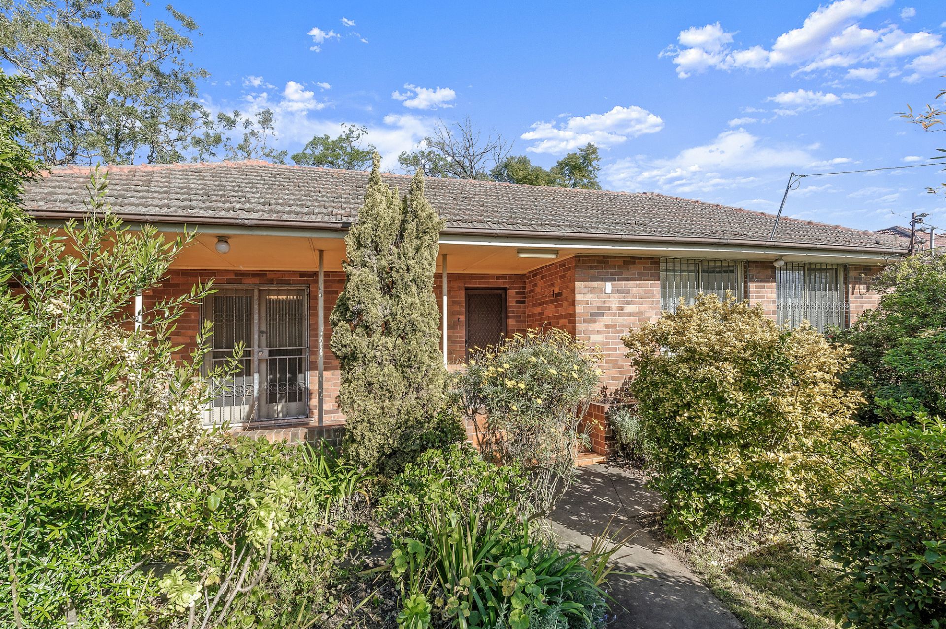 1 Duffy Avenue, Thornleigh, Thornleigh - Thumbnail 3