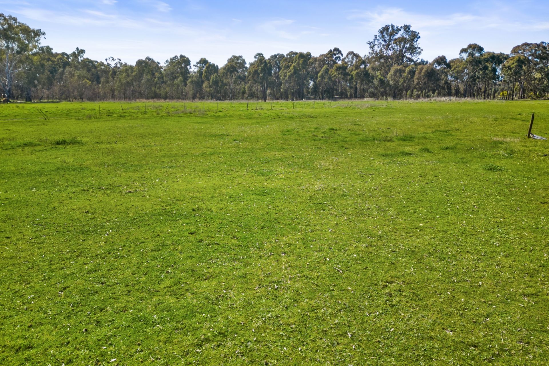 8/ Redpath Road, Avoca - Thumbnail 6