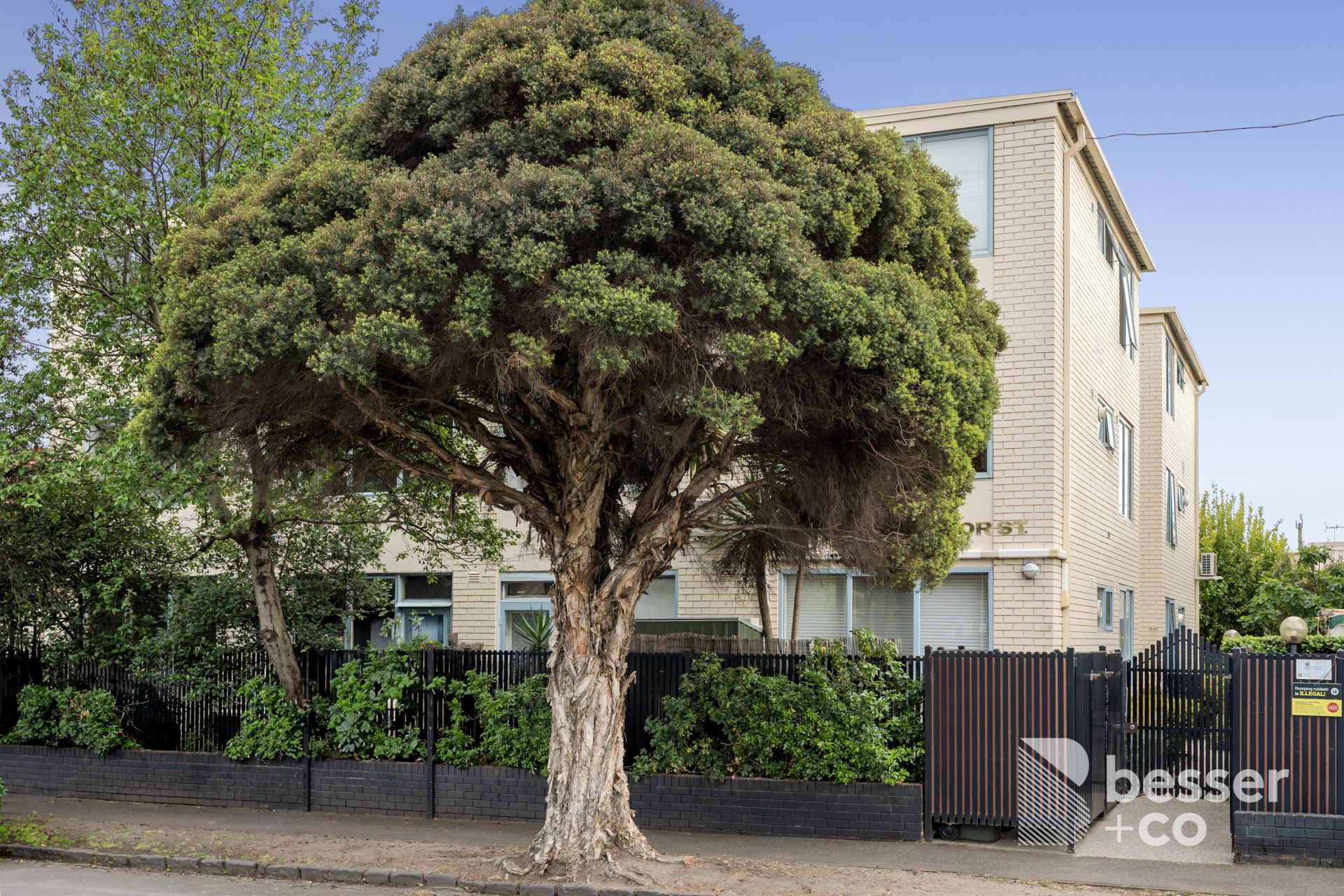 6/66-70 Grosvenor Street, Balaclava - Thumbnail 2