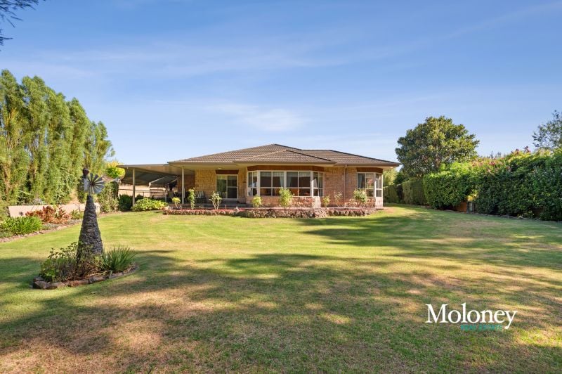 Expansive oasis just steps from the Main Street