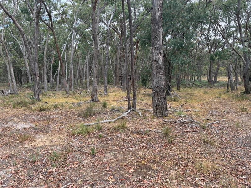 1 Grampians View Road, Beaufort, Beaufort - Thumbnail 7